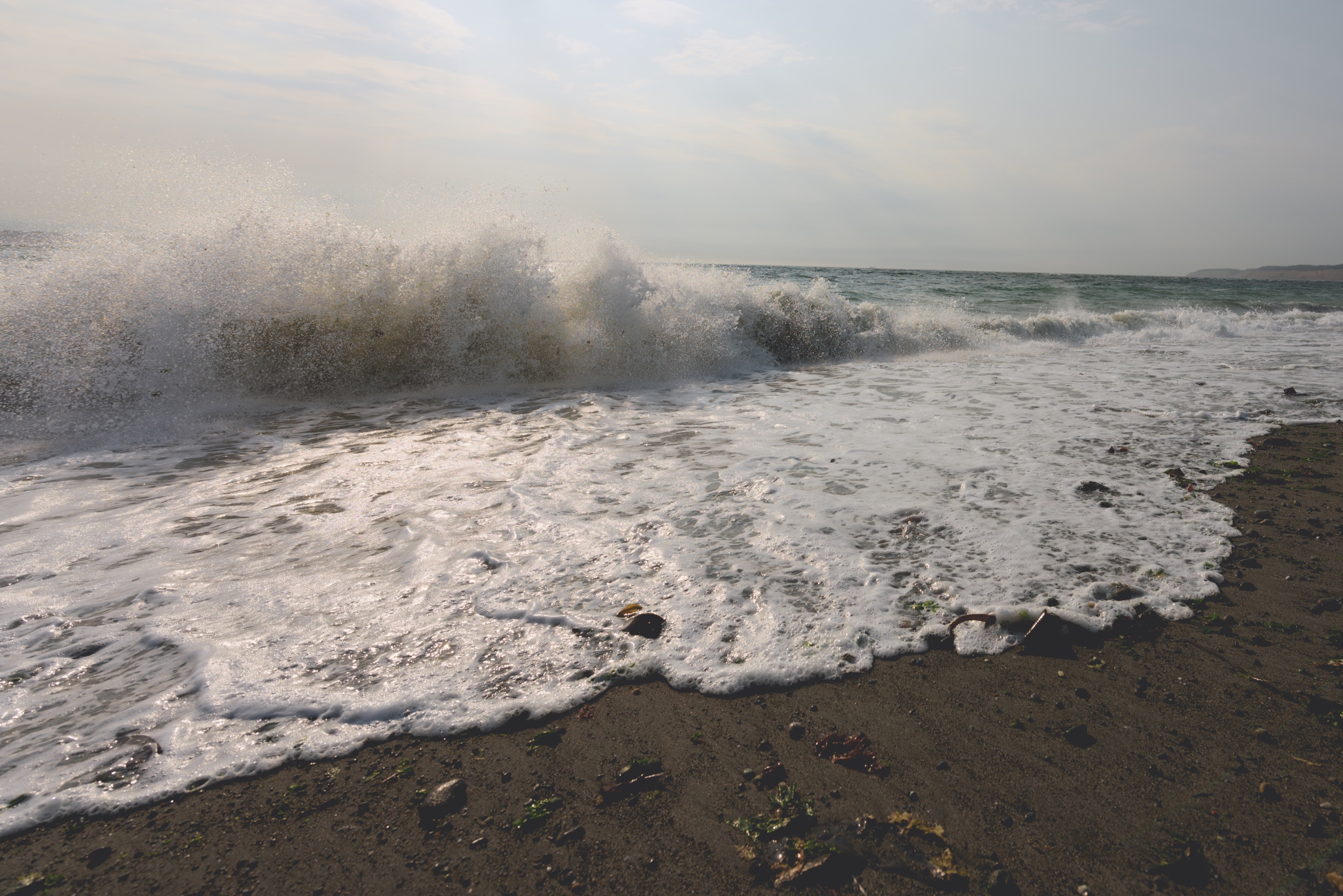 Ocean Surf