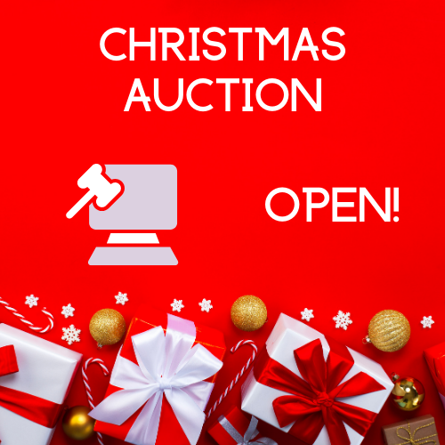 Christmas Auction open!