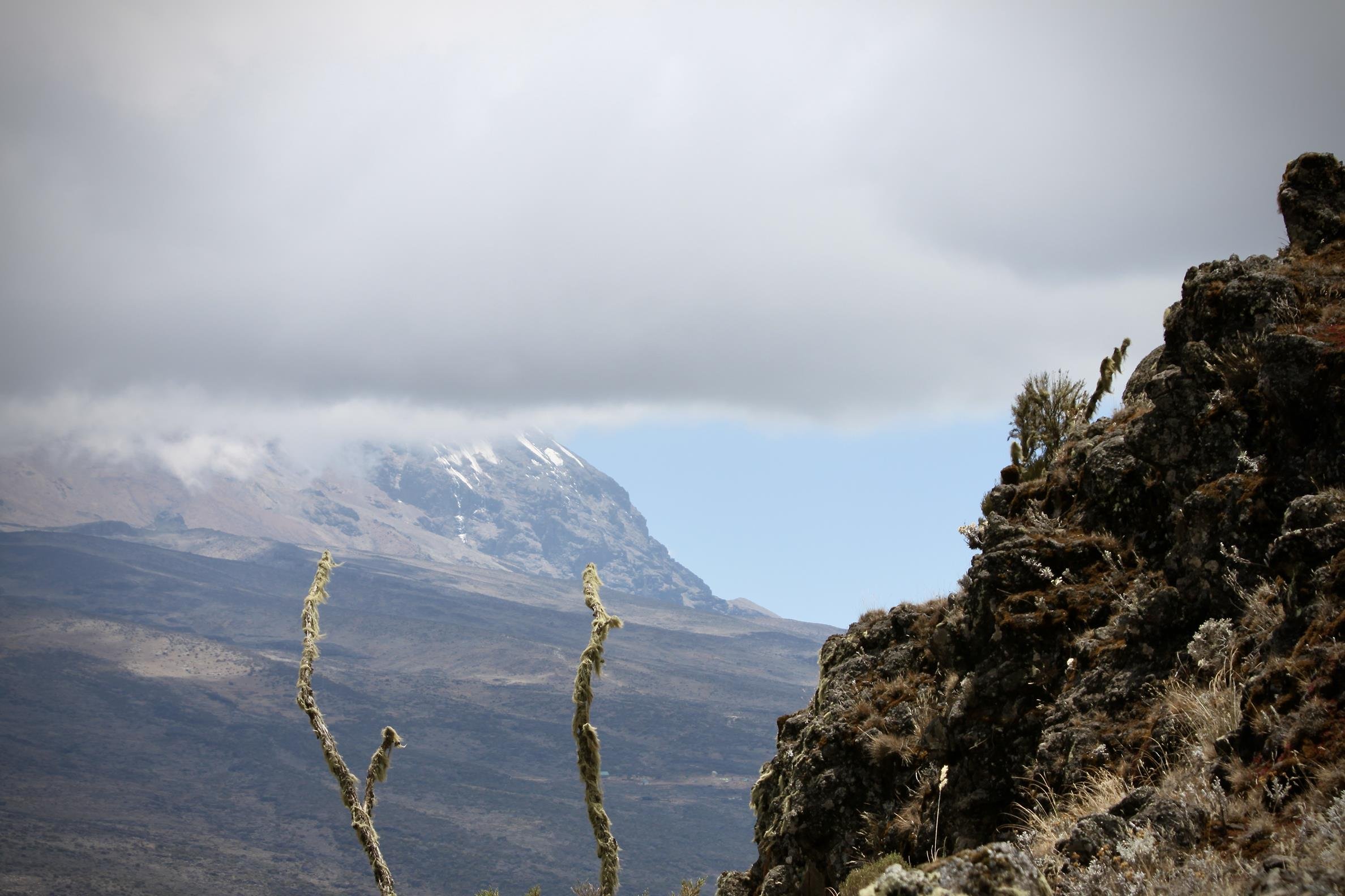 Kilimanjaro 2022 - 02.jpeg