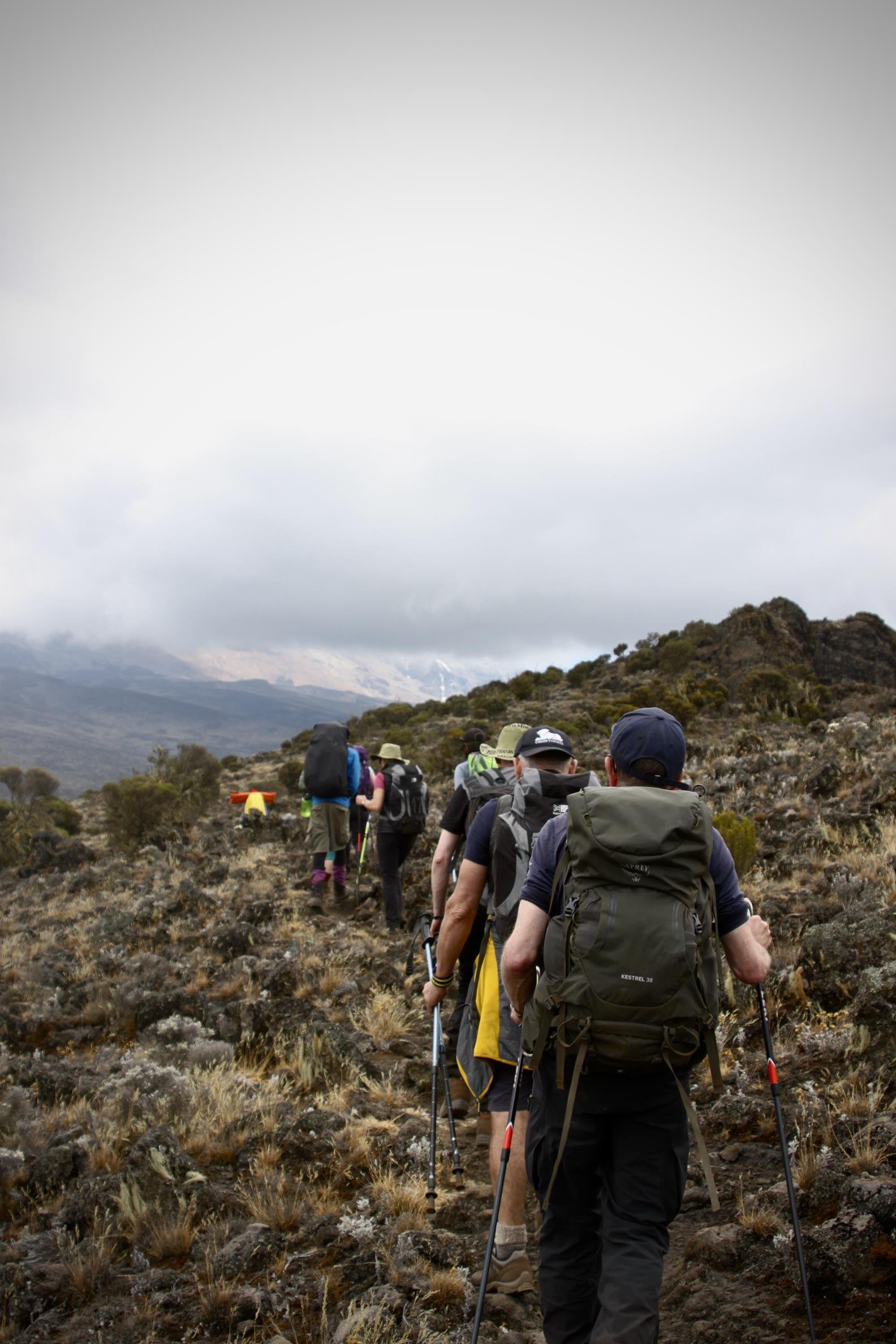 Kilimanjaro 2022 - 41.jpeg
