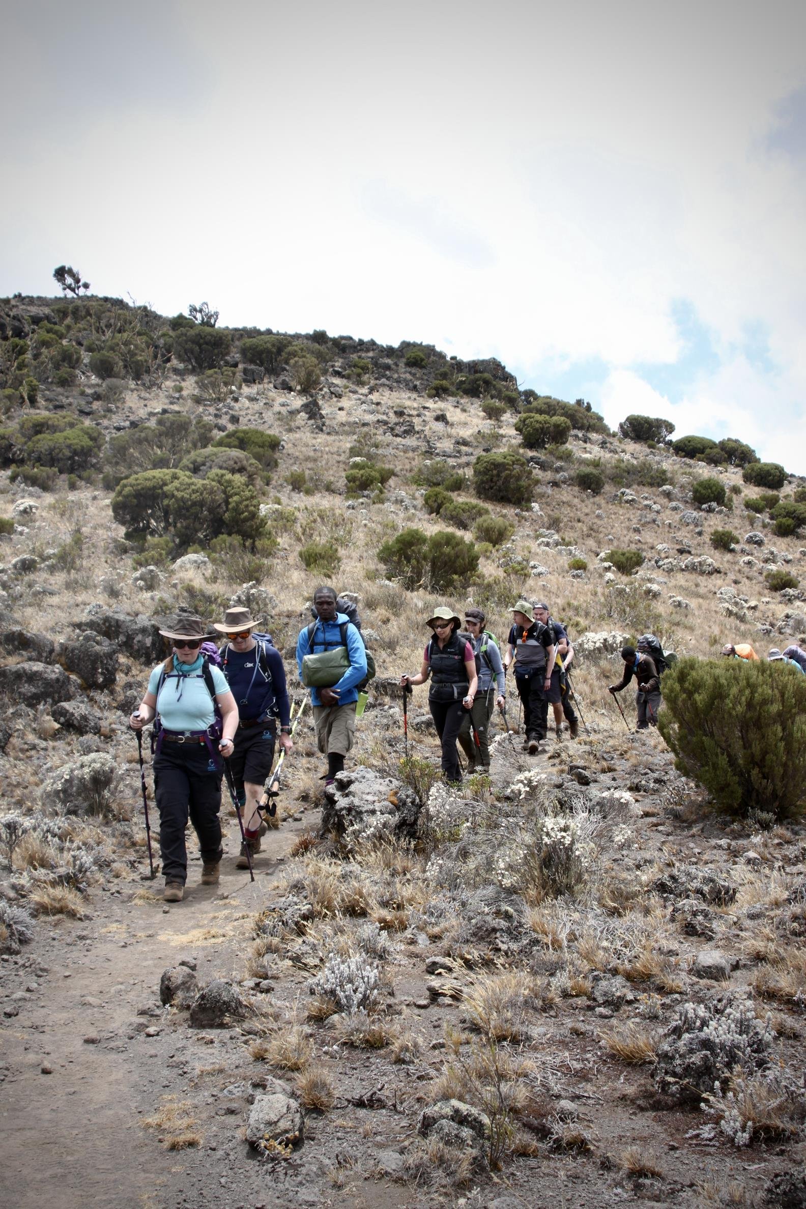 Kilimanjaro 2022 - 48.jpeg