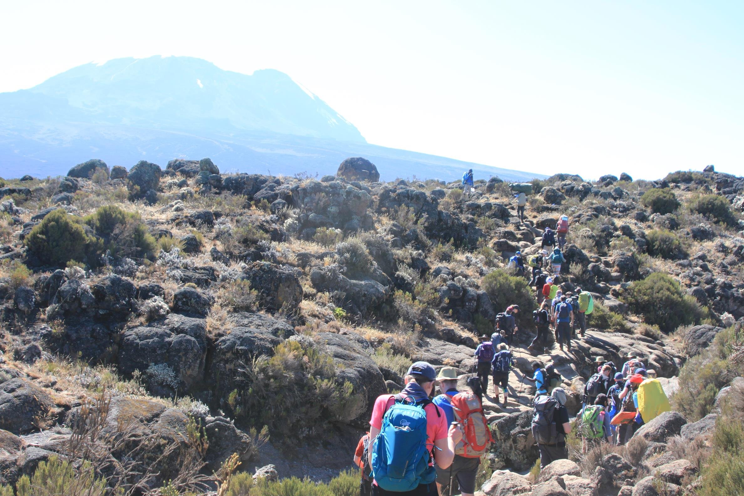 Kilimanjaro 2022 - 46.jpeg