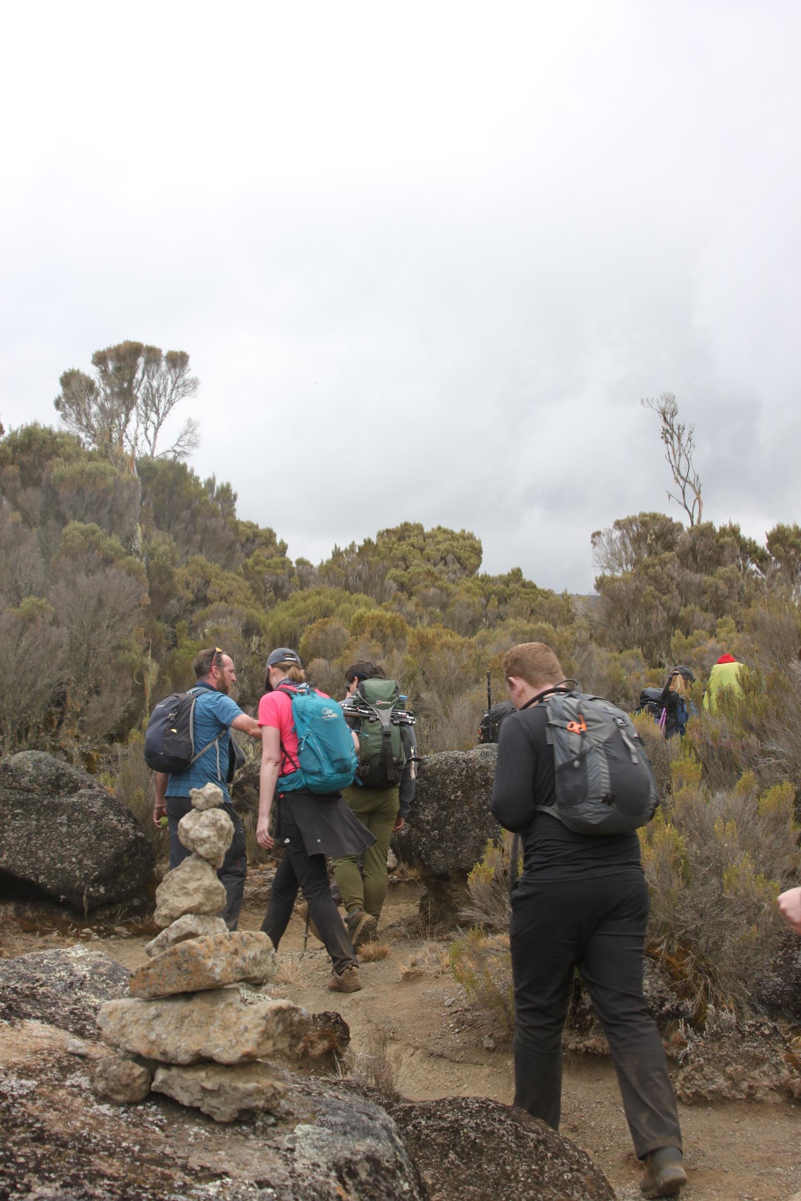 Kilimanjaro 2022 - 50.jpeg
