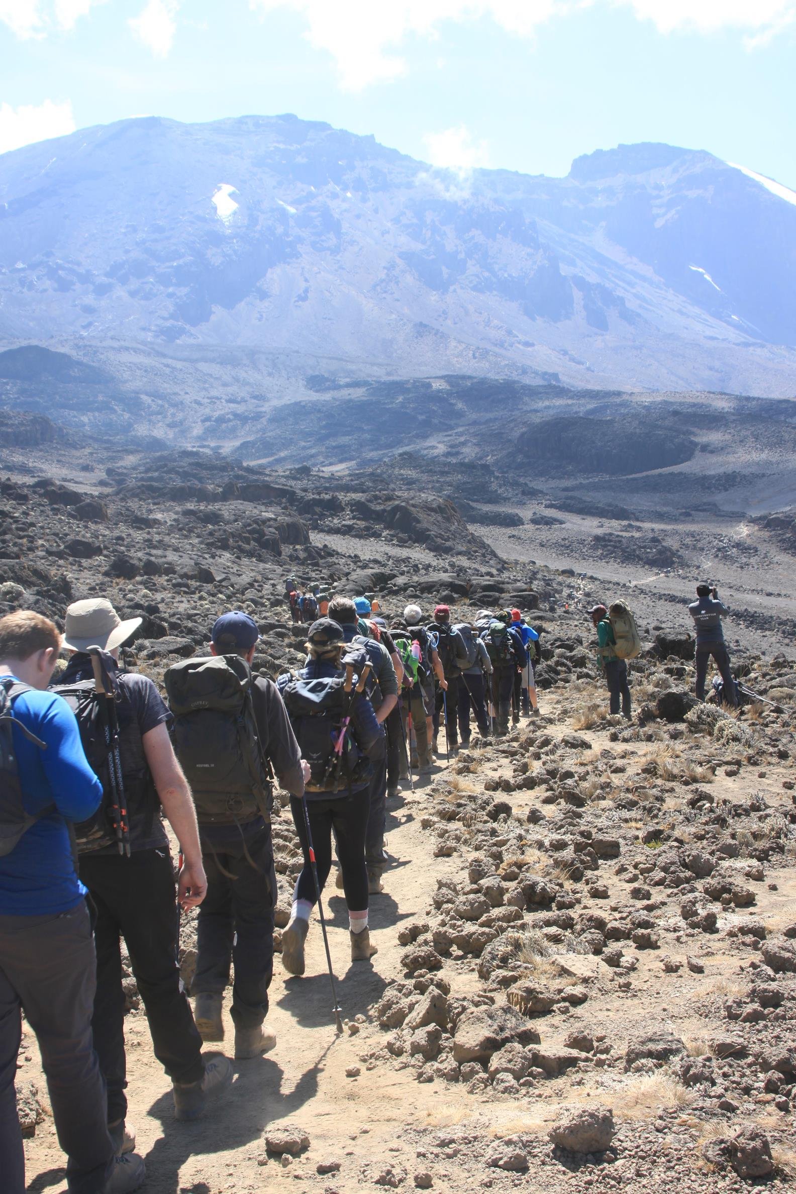 Kilimanjaro 2022 - 59.jpeg