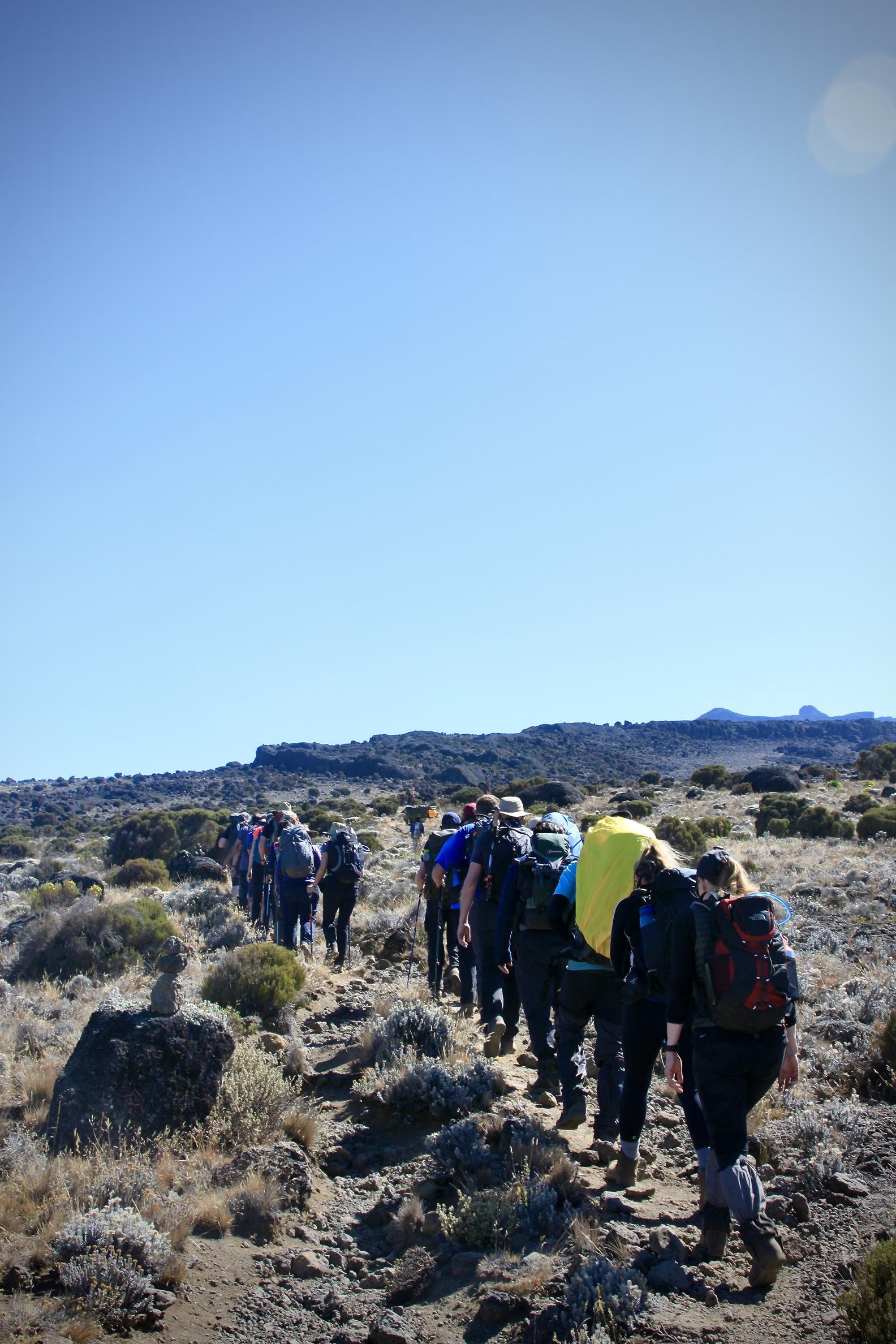 Kilimanjaro 2022 - 65.jpeg