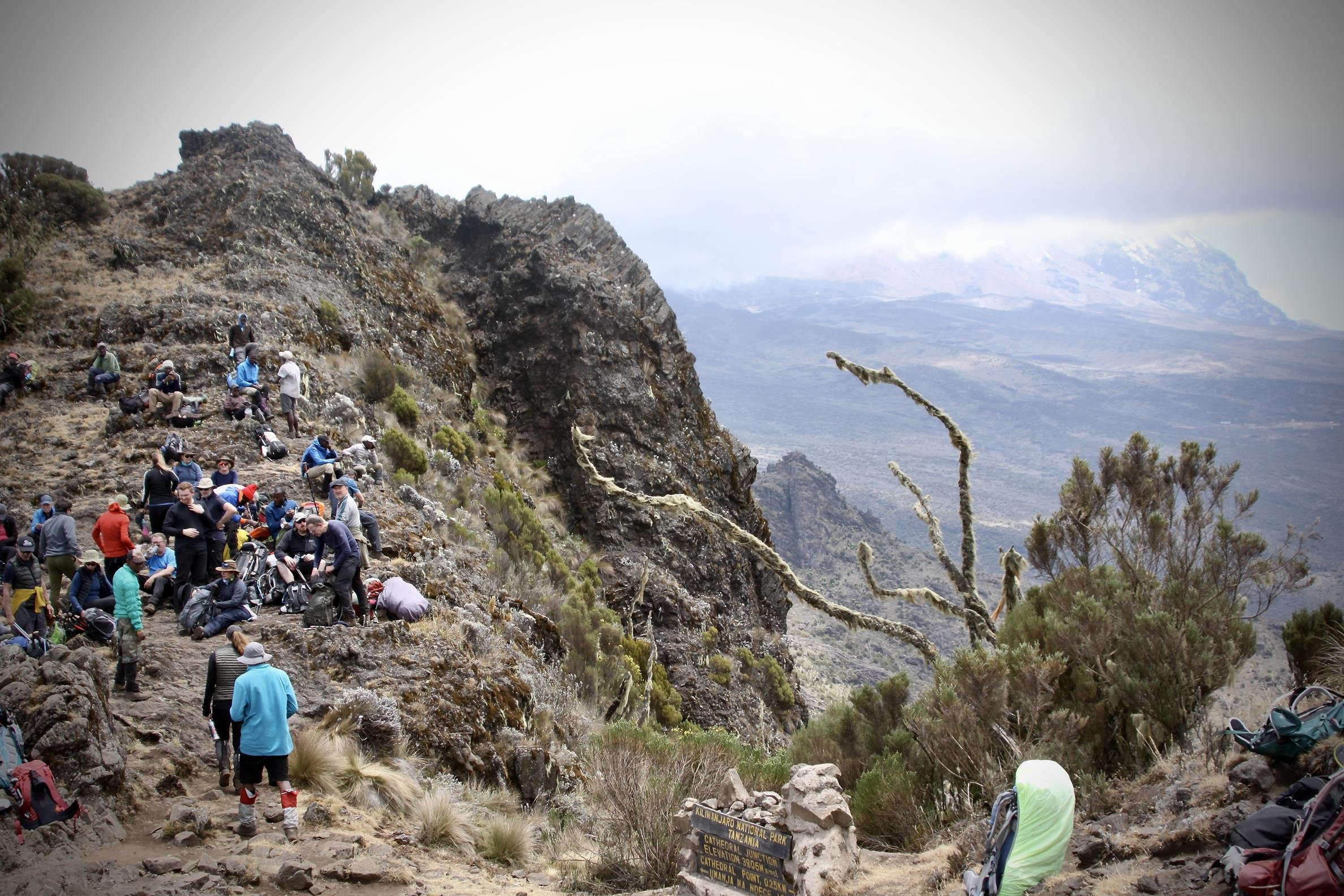 Kilimanjaro 2022 - 69.jpeg