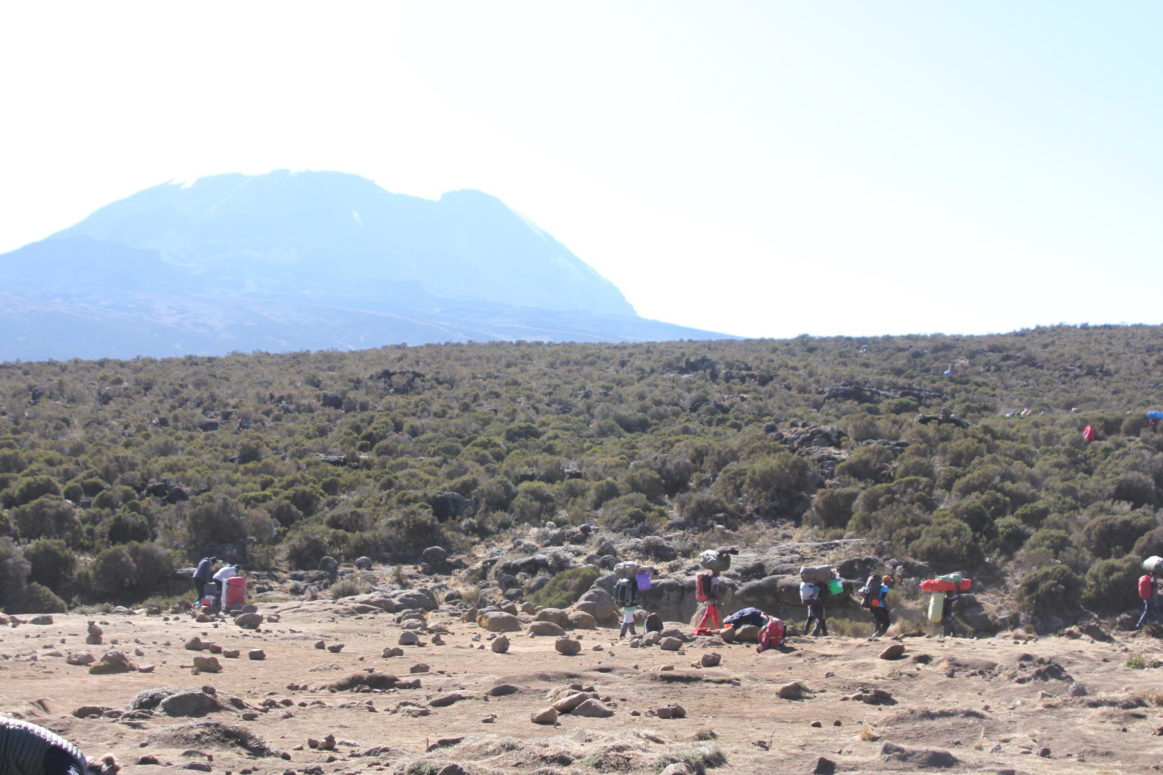 Kilimanjaro 2022 - 70.jpeg