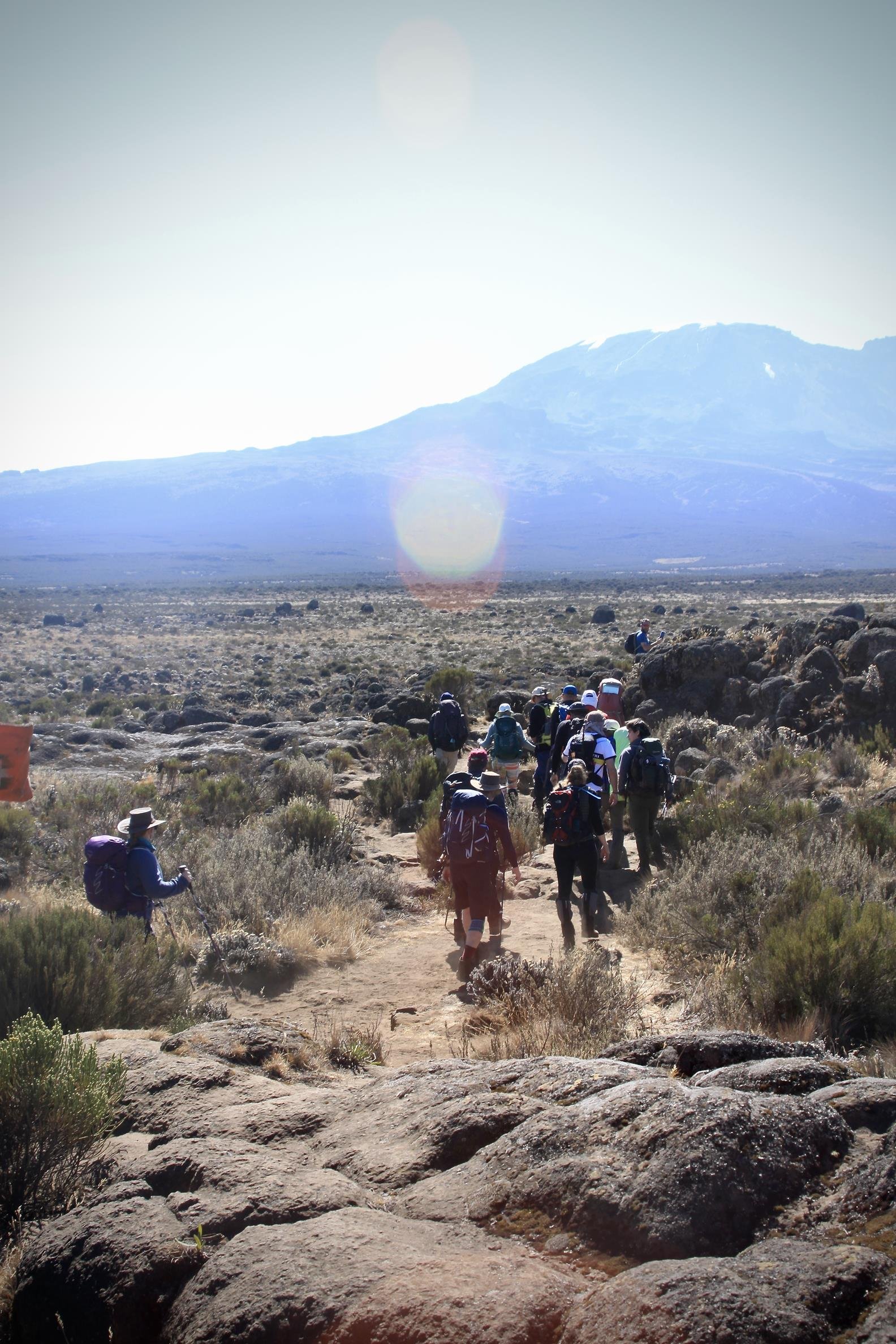 Kilimanjaro 2022 - 74.jpeg