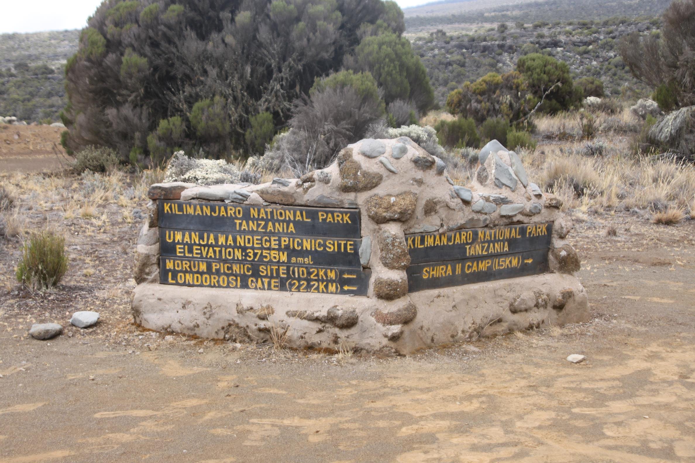 Kilimanjaro 2022 - 75.jpeg