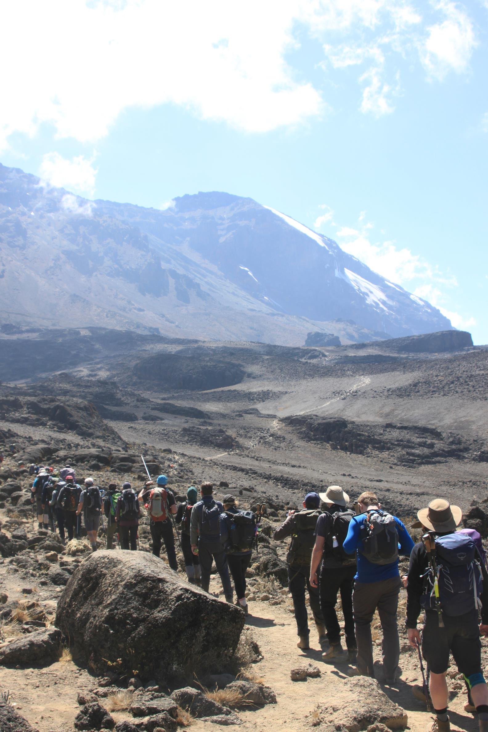 Kilimanjaro 2022 - 122.jpeg