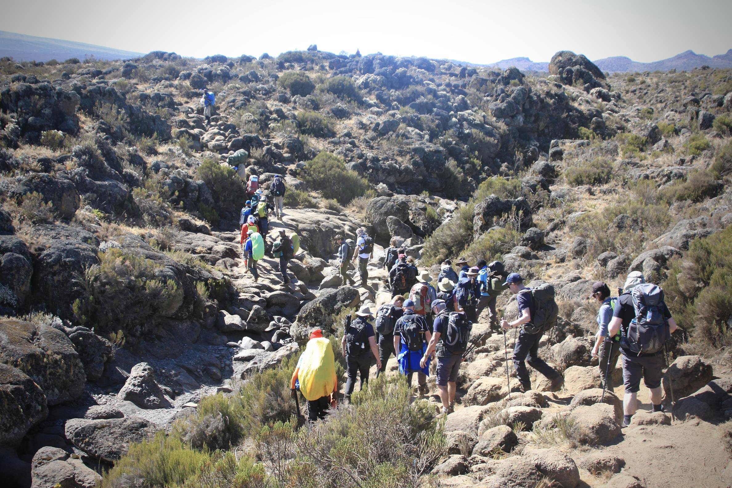 Kilimanjaro 2022 - 124.jpeg