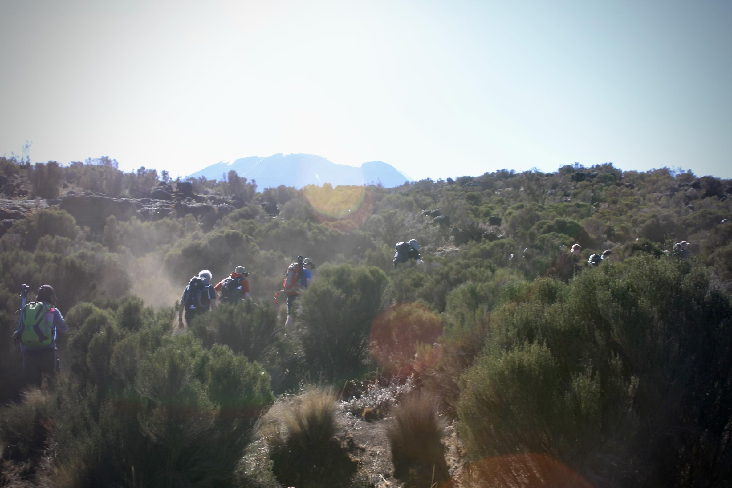 Kilimanjaro 2022 - 126.jpeg