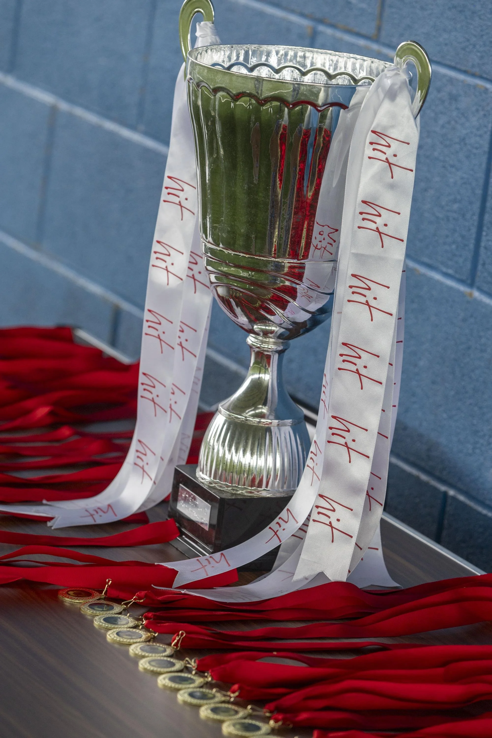 36 Hit the back of the net 2024.JPG