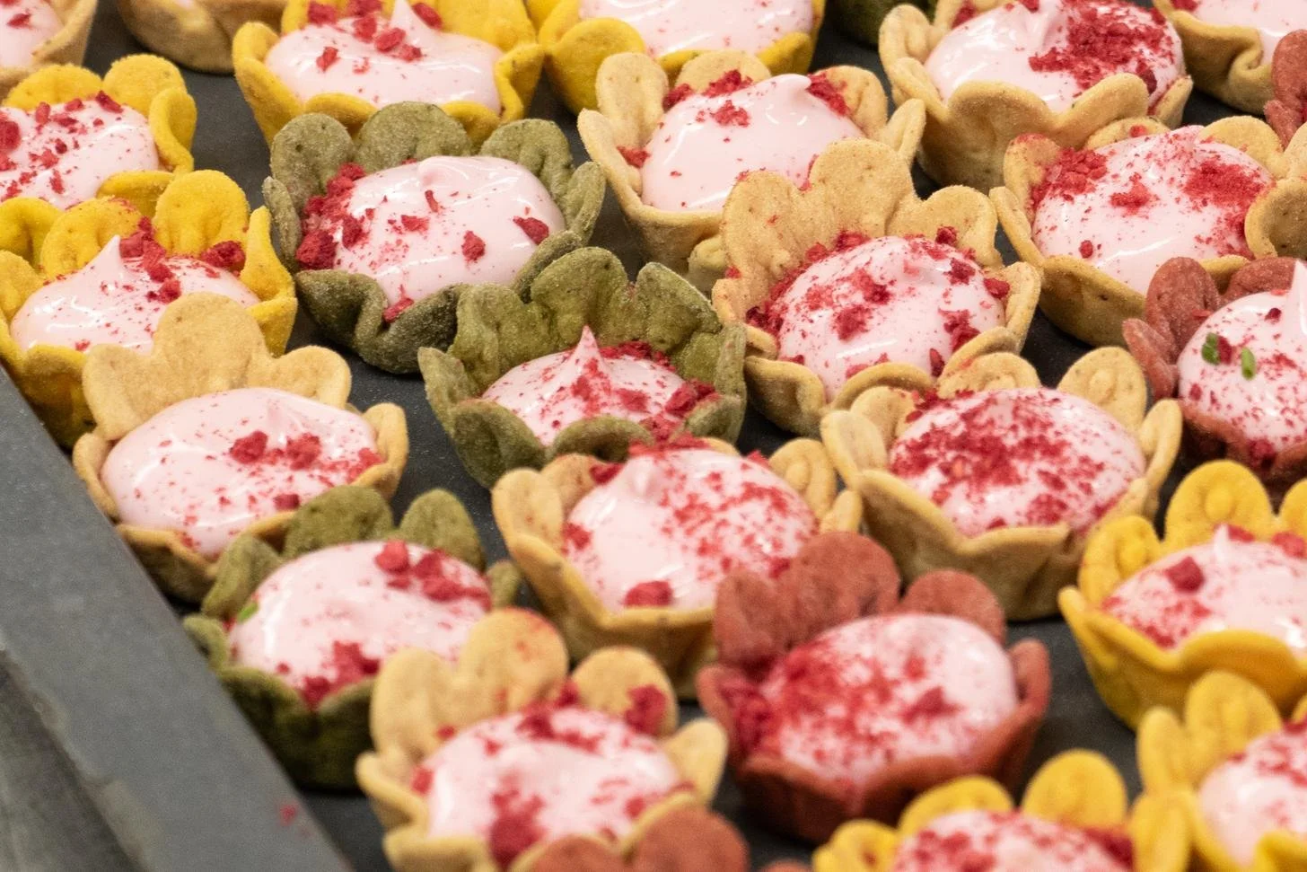 HIT The Bard 2026 - 46.jpg