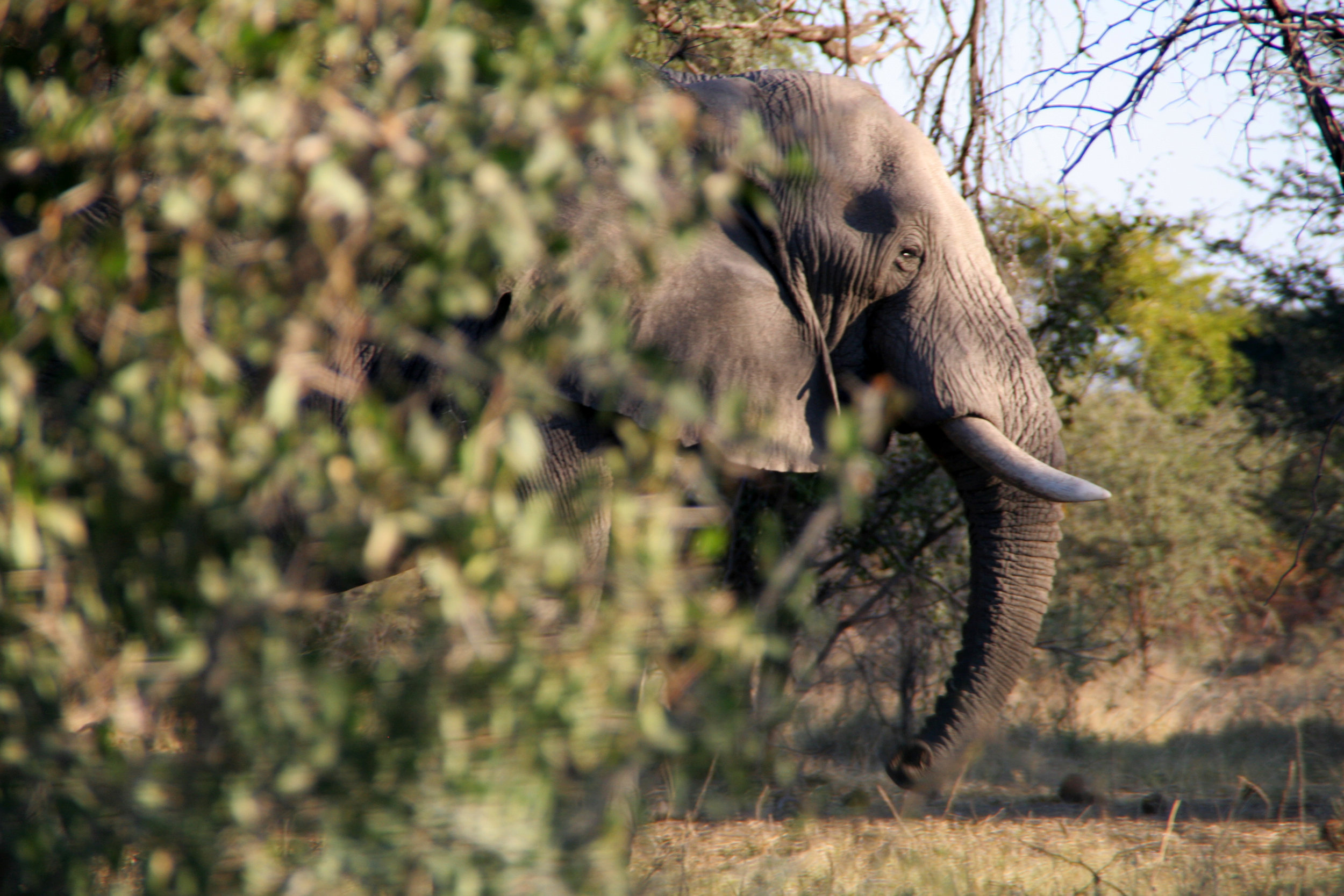 Botswana