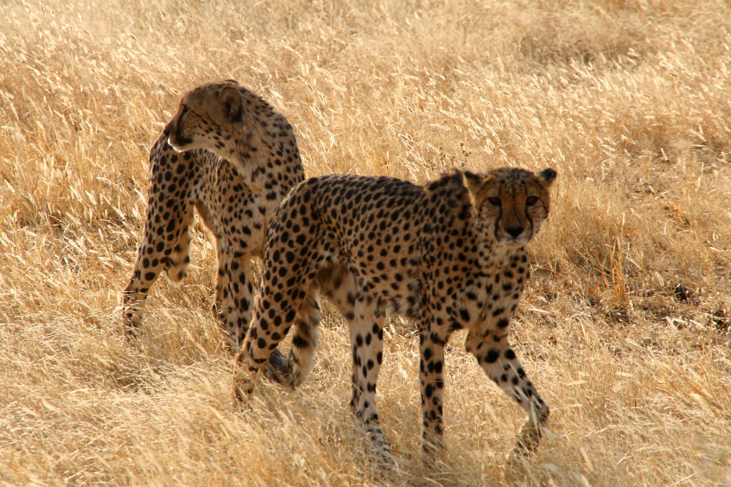 Botswana