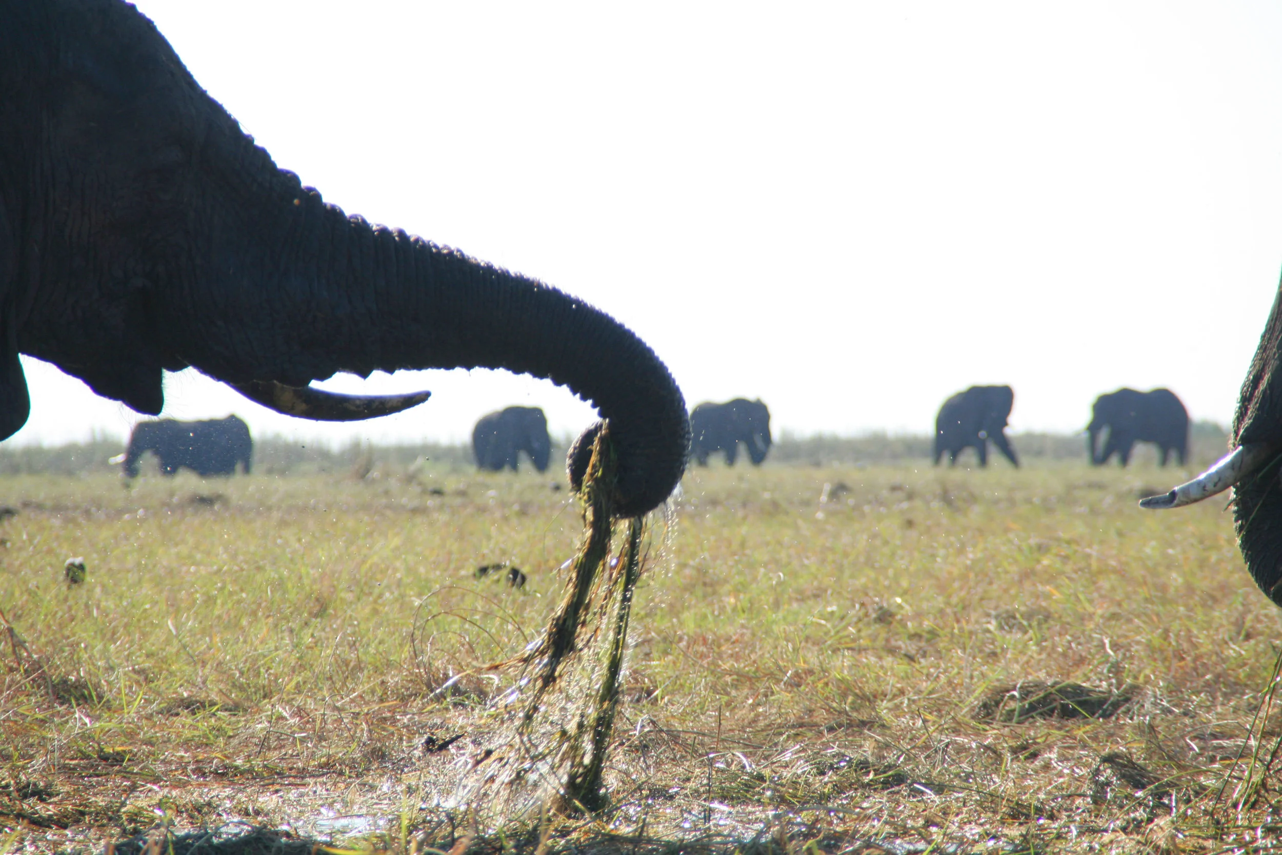 Kasane, Botswana