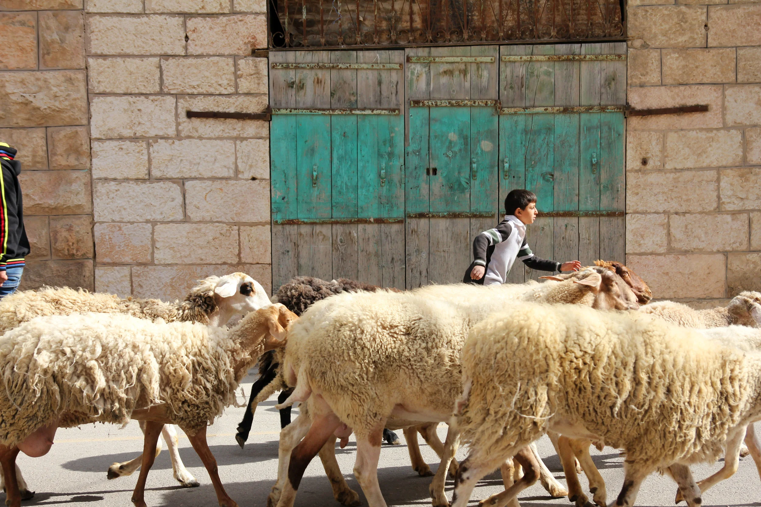 Hebron, Palestine