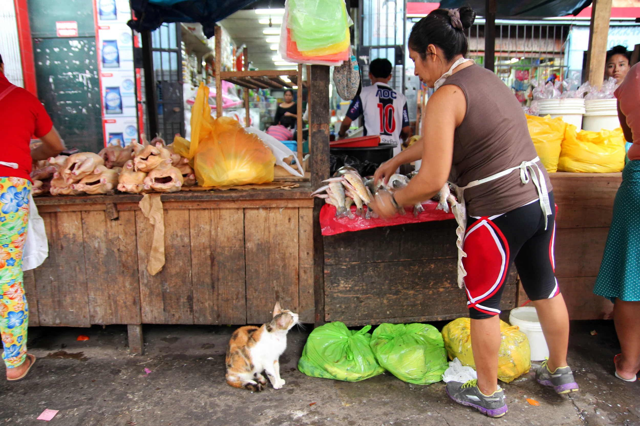 Iquitos, Peru