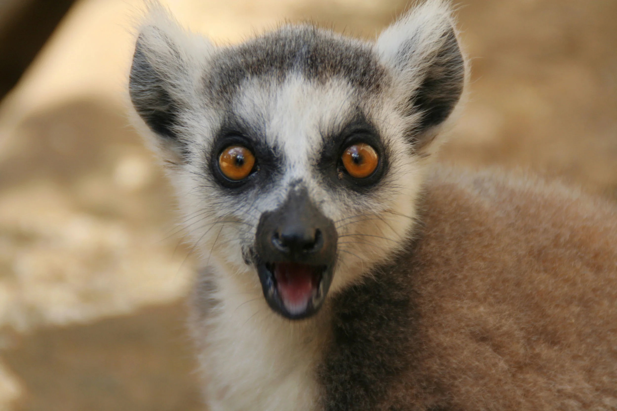 Toliara, Madagascar