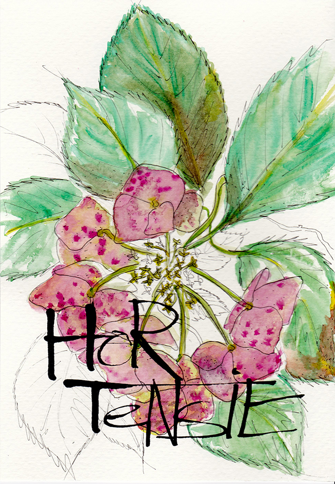 Hortensie.jpg