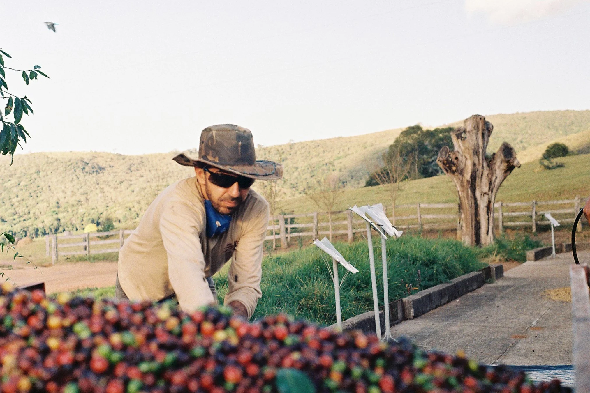 Fazenda trapia coffee farm