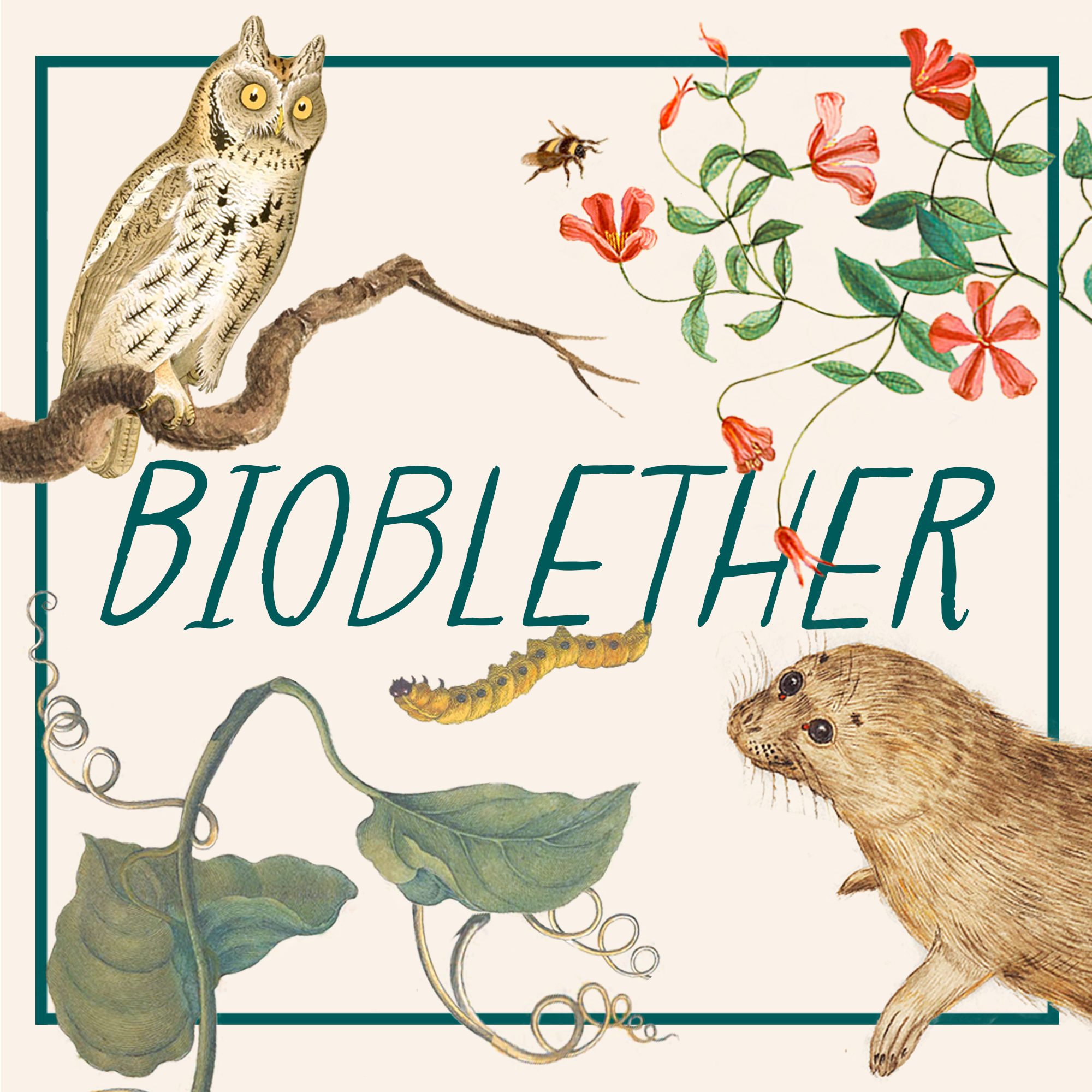 Introducing BioBlether