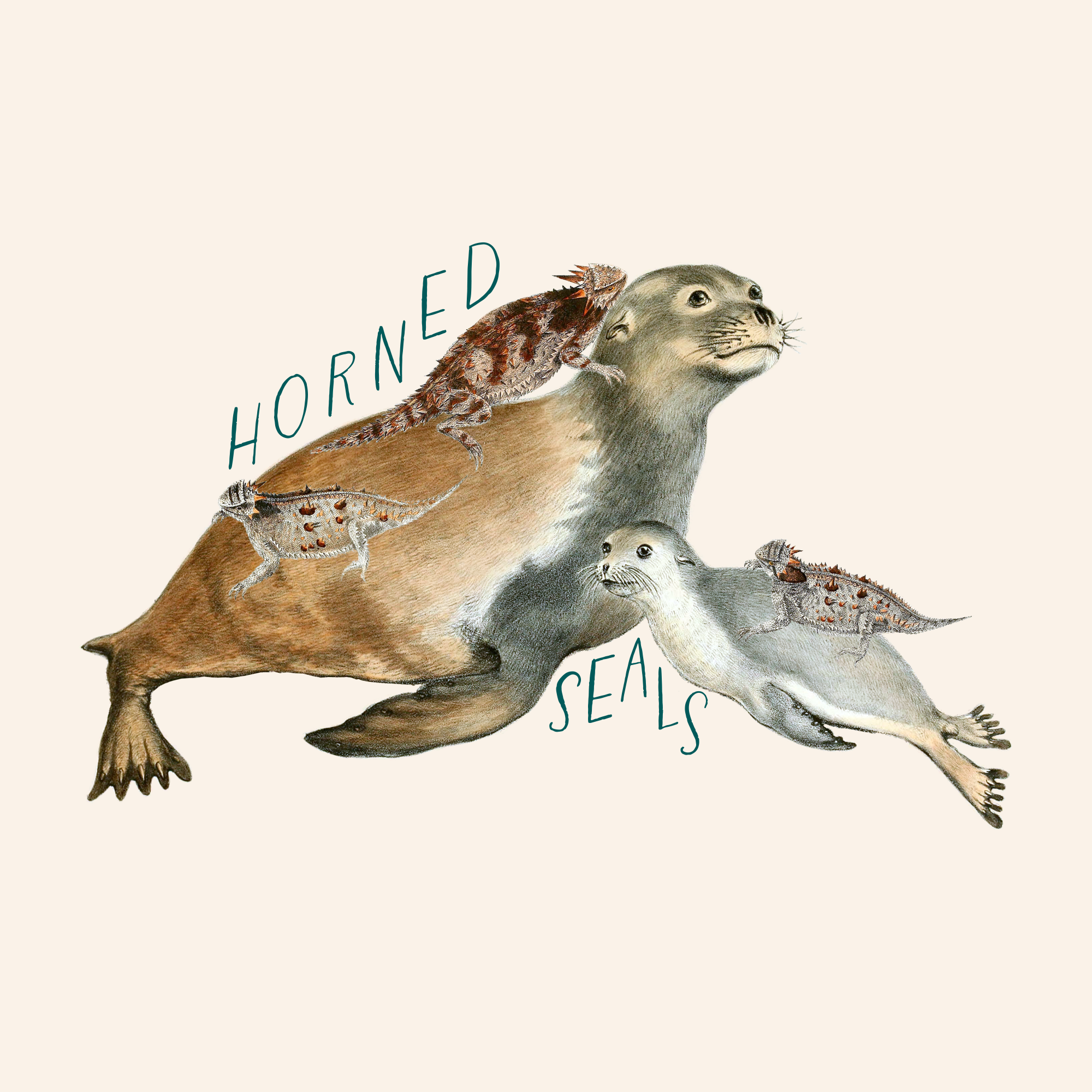 Horned Seals