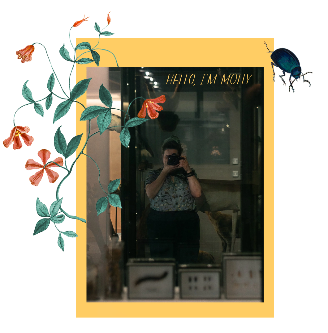 Self portrait photograph of Molly in the zoology hall of a museum, there's a yellow border around the image, and illustrations of a coral red flowering plant winding it's way across the photo and a dark blue beetle