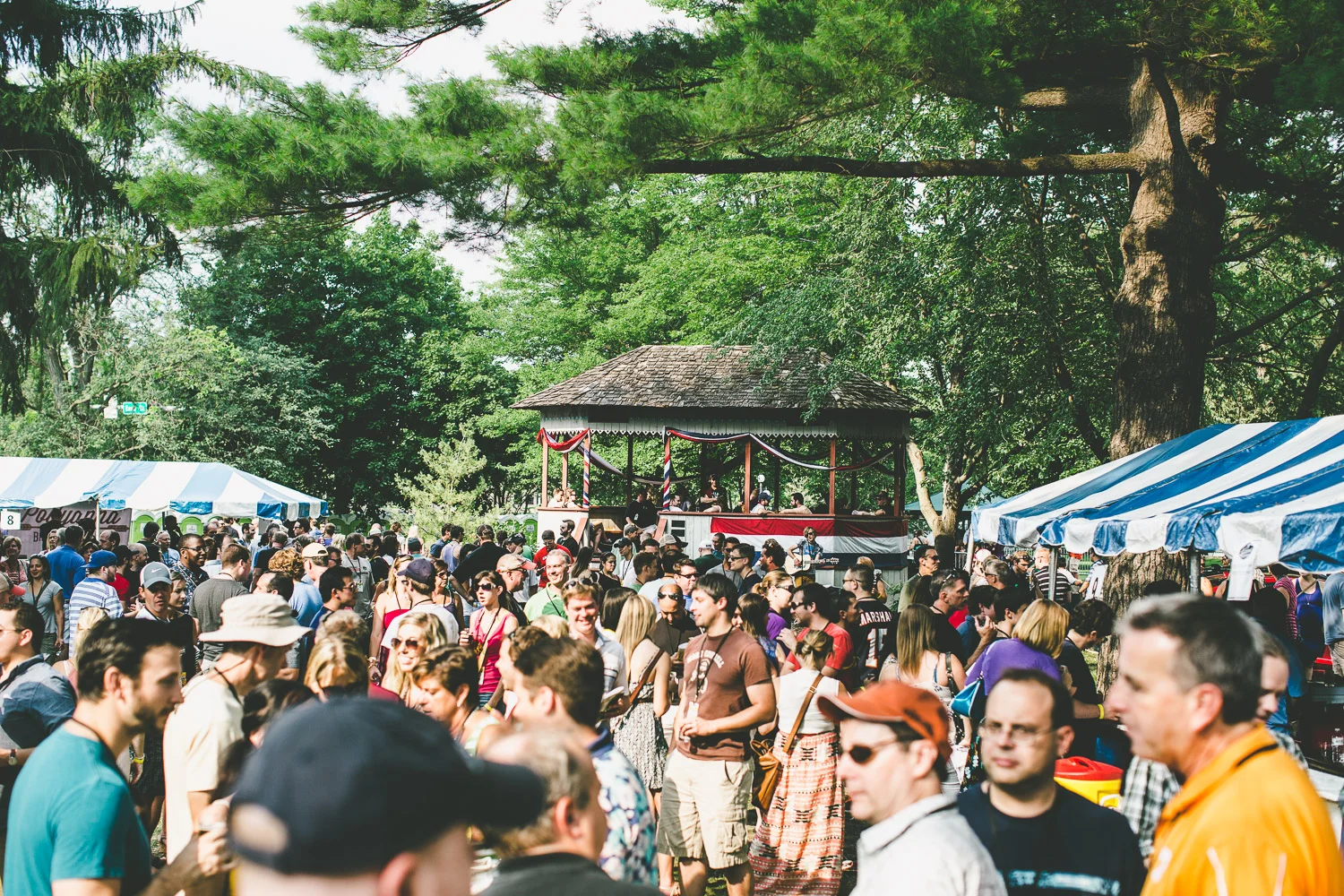 2017 Naperville Ale Fest - Summer