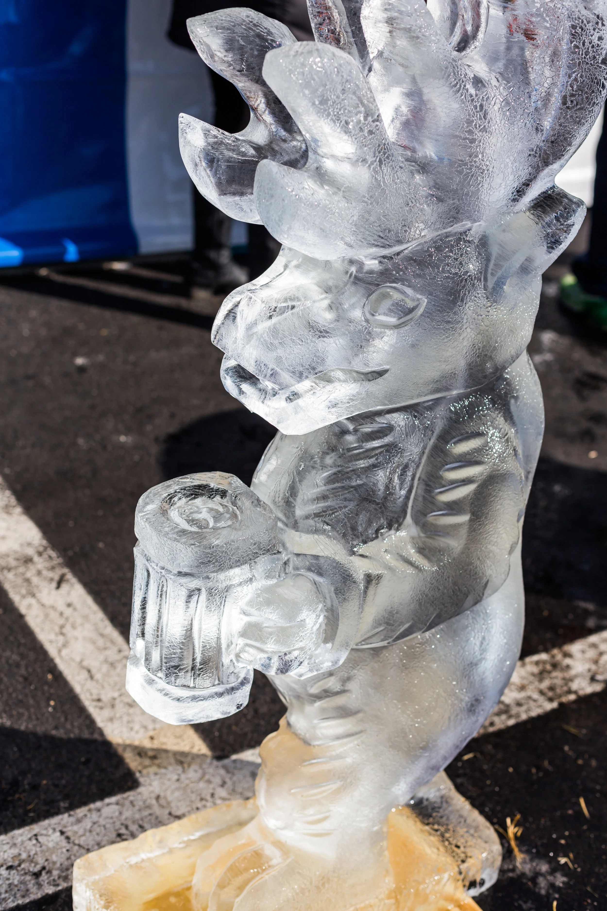 Naperville Winter Ale Fest-106.jpg