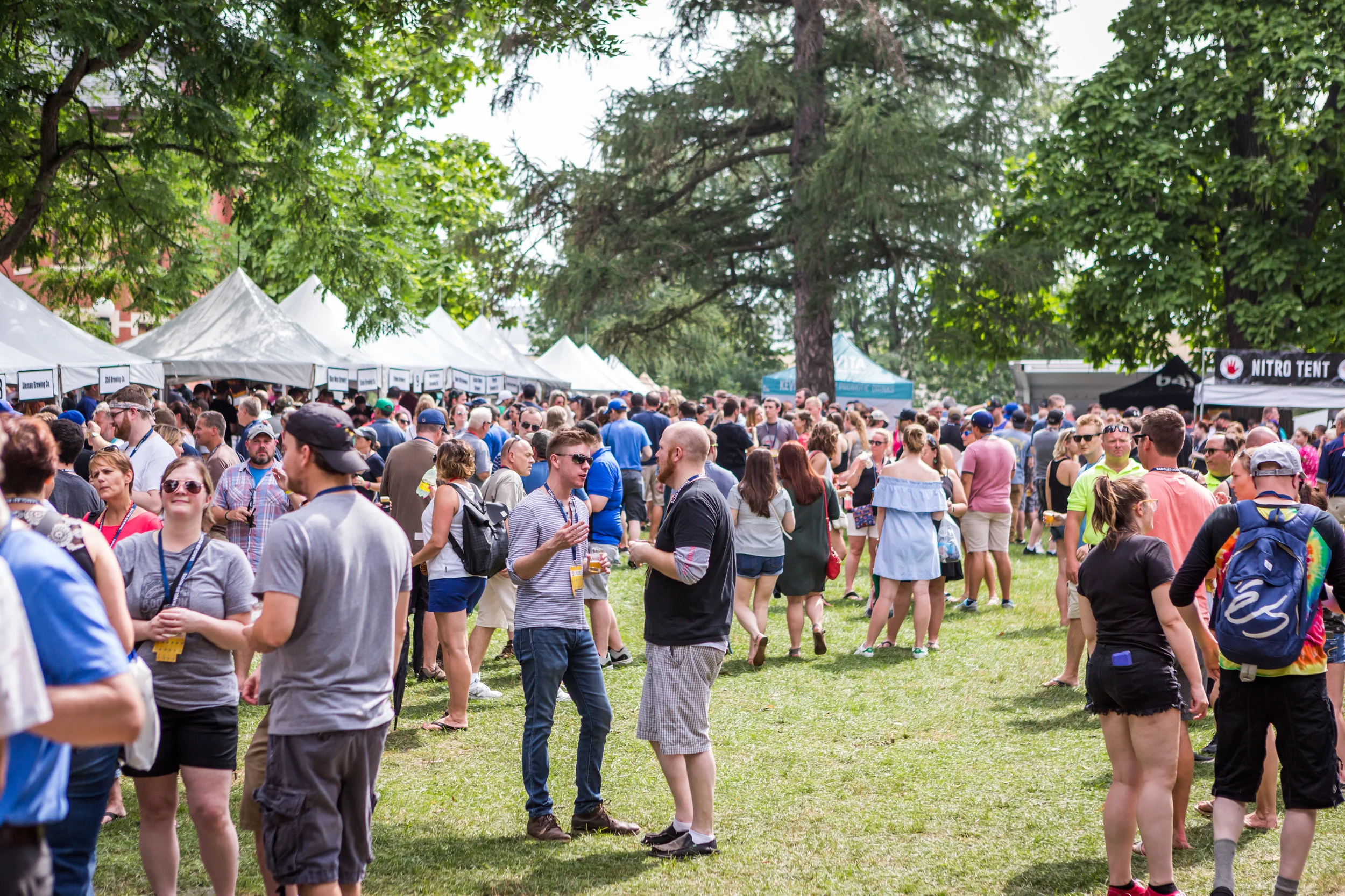 pdetphotography-loudogevents-naperville-napervillealefest-summer2018- 114.jpg