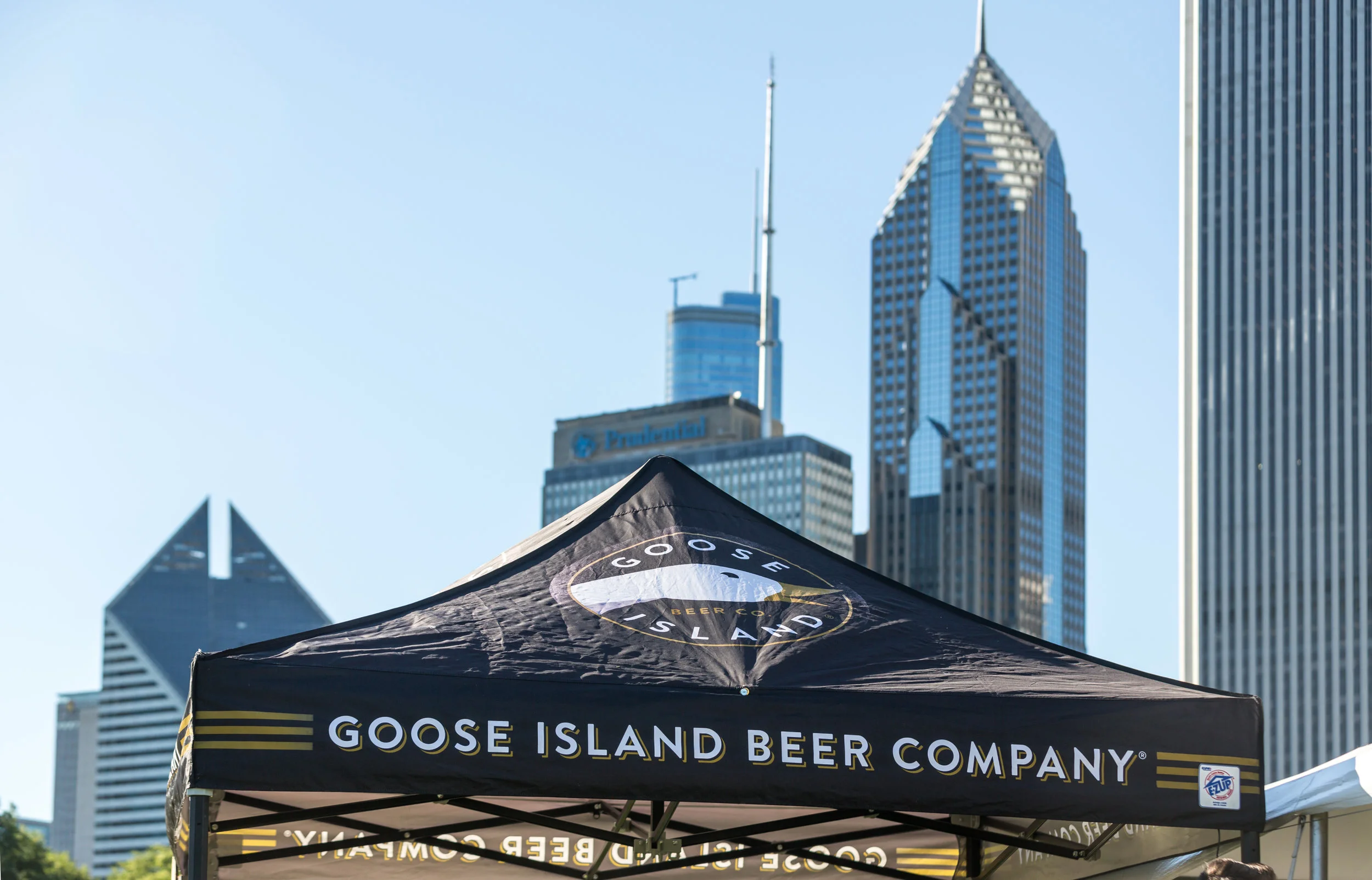 pdetphotography-loudogevents-chicagoalefest-2018-friday - 15.jpg