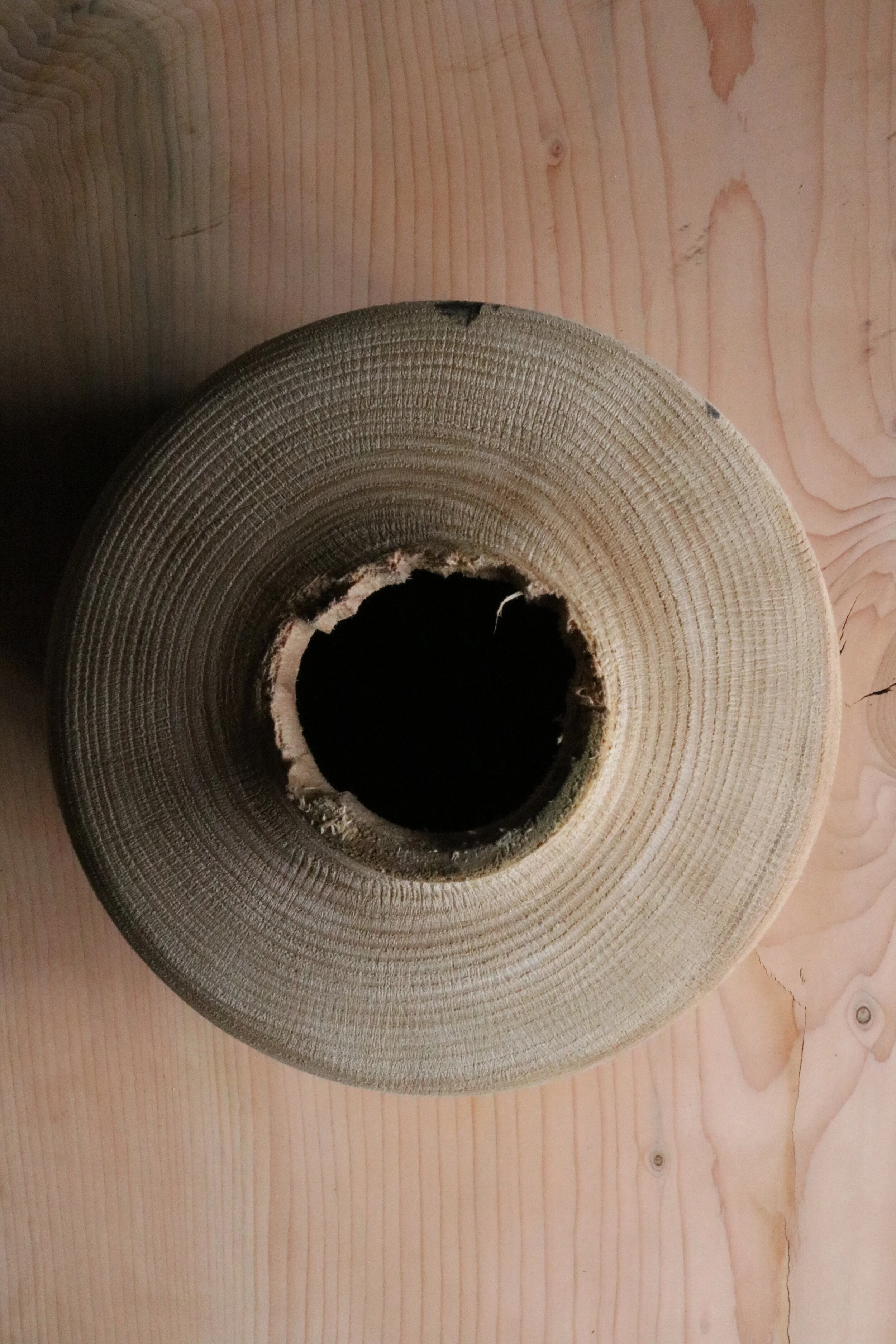 Textured Sweet Chestnut (II)