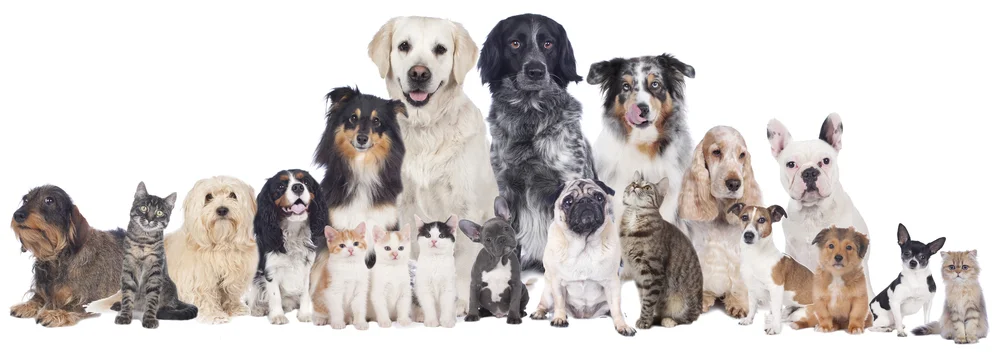 1shutterstock_242326378.jpg