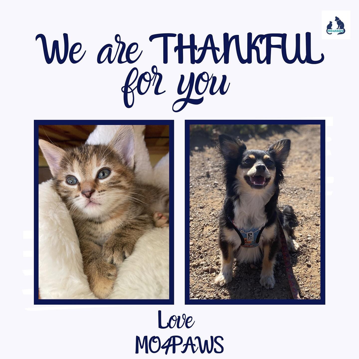 As we near the end of 2021, we&rsquo;re giving thanks for the incredible support that brought smiles to so many pets and families this year.
.
MO4PAWS would like to share our gratitude for the ones we love and have in our lives-two and four legged. H