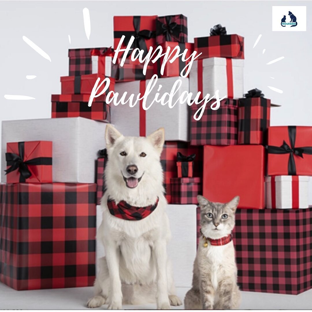 As we reflect on the reasons we all have to be thankful this holiday season, MO4PAWS would like to share our gratitude for the ones we love and have in our lives-two and four legged. Happy Pawlidays and Merry Christmas to everyone! 🎄🎁❤️
.
.
Please 
