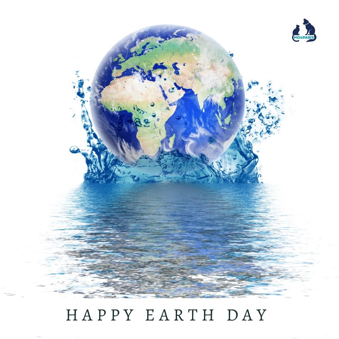 Today MO4PAWS wants to honor Earth day. 
.
.
Did you know?-By 2100, it&rsquo;s estimated that 50% of all the world&rsquo;s species could go extinct. The unrelenting expansion of factory farming is threatening the future of our beautiful planet and al