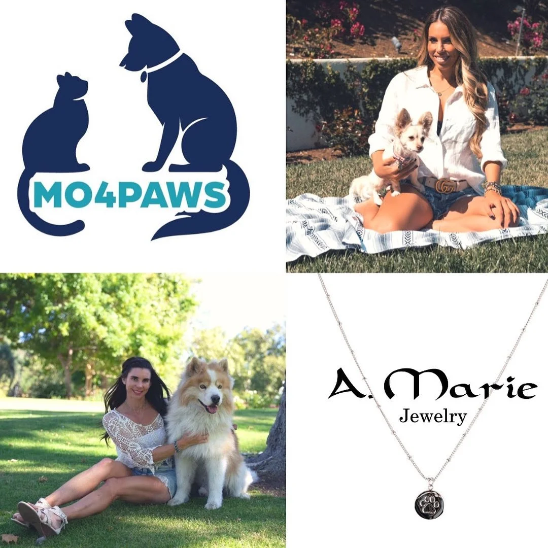 Attention! MO4PAWS has collaborated with @amariejewelry and @ashleymarieamj to design the ALL PAWS ON DECK AMJ x MO4PAWS jewelry line in honor of our companion animals. πΎπΆπ»πΎ
.
.
All proceeds from every necklace sold helps save the lives of cats a