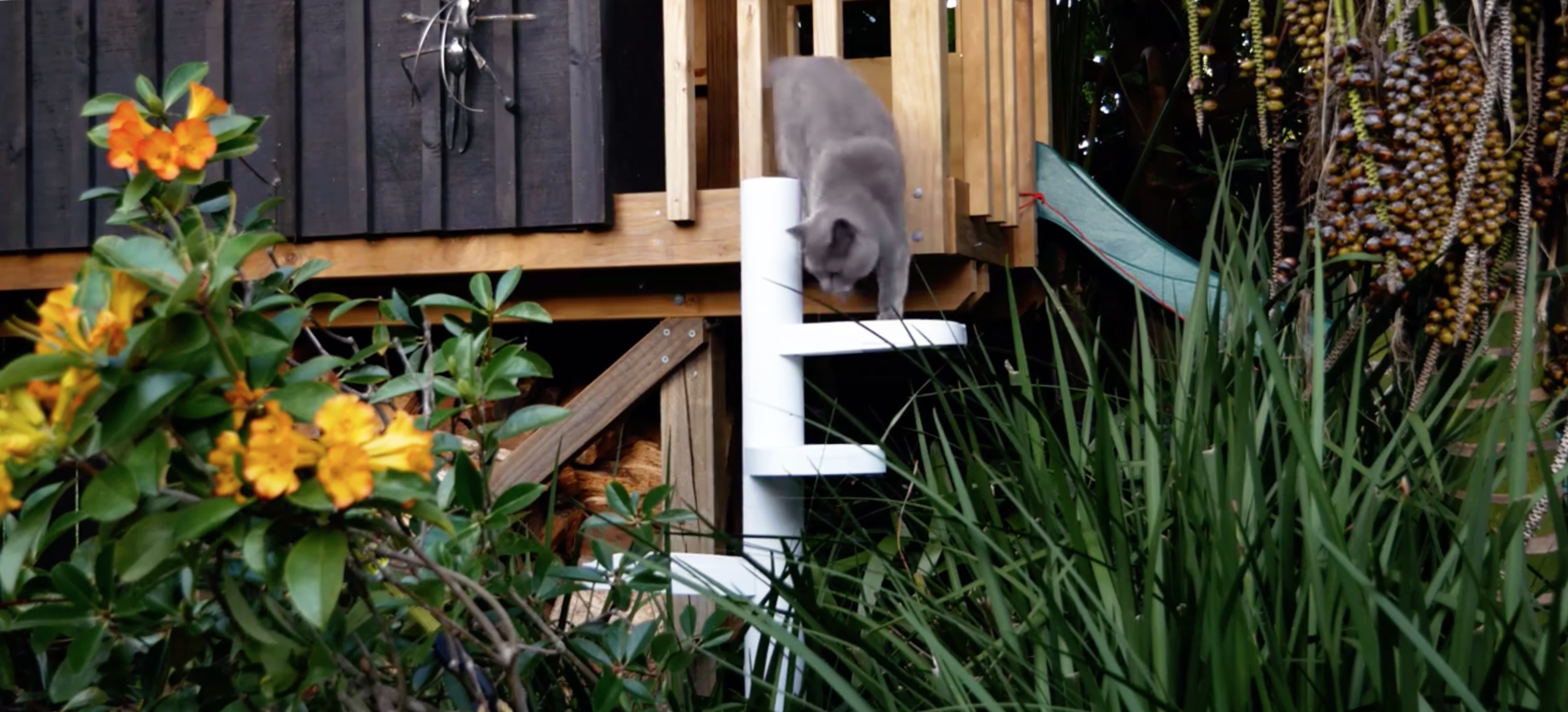 Globex-engineering-product-design-consultancy-MonkeeTree-Cat