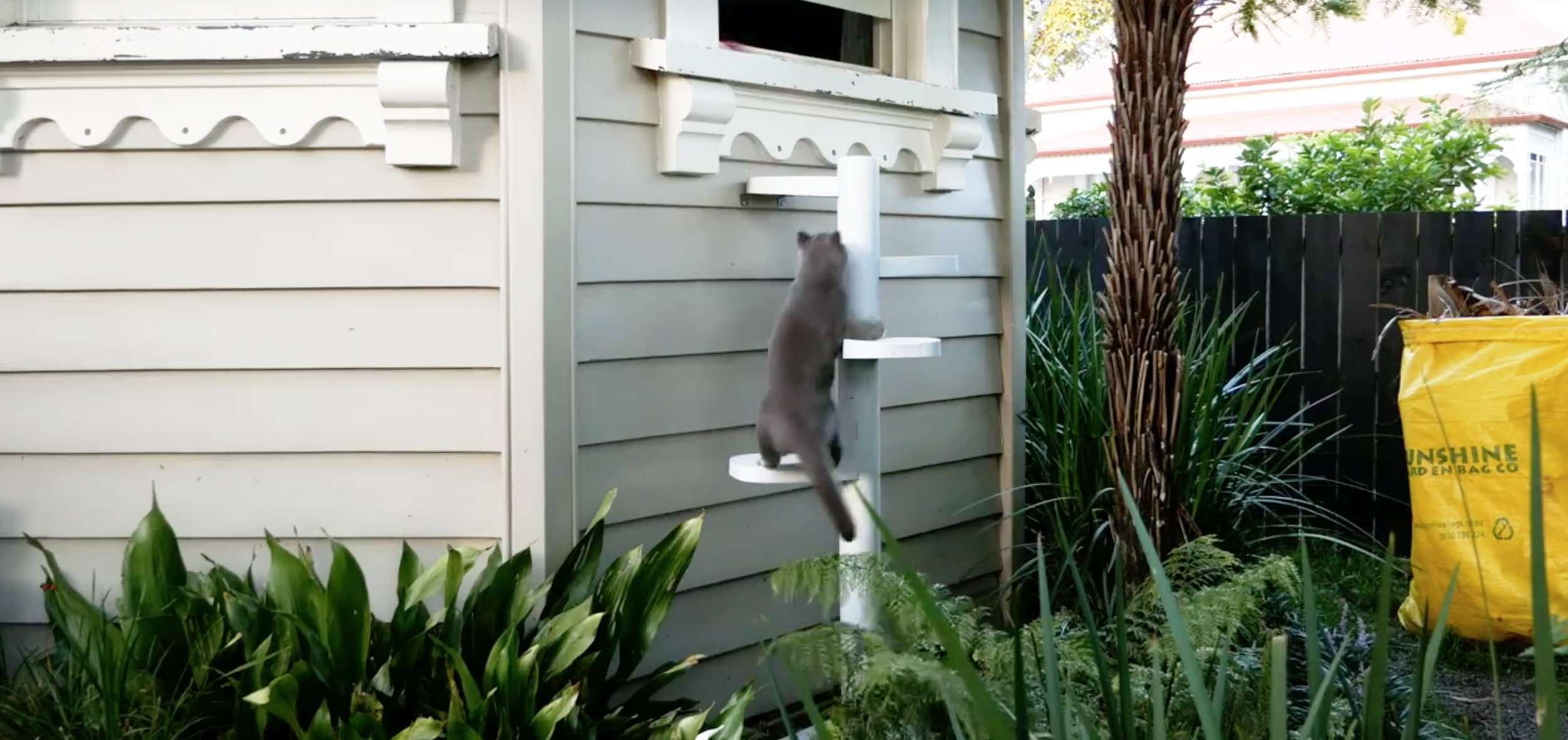 Globex-engineering-product-design-consultancy-MonkeeTree-Cat