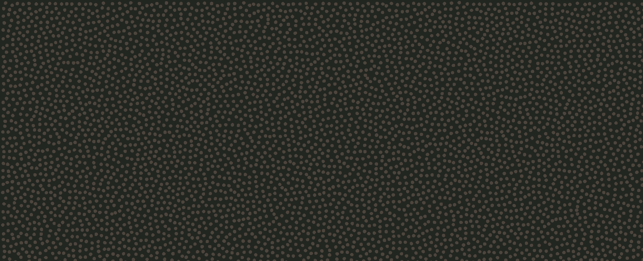 SLT_CDI Display Background Pattern Banner.png