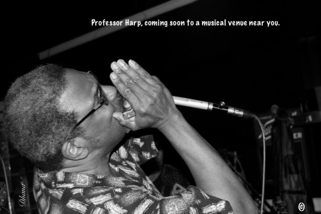 Live Music by Professor Harp