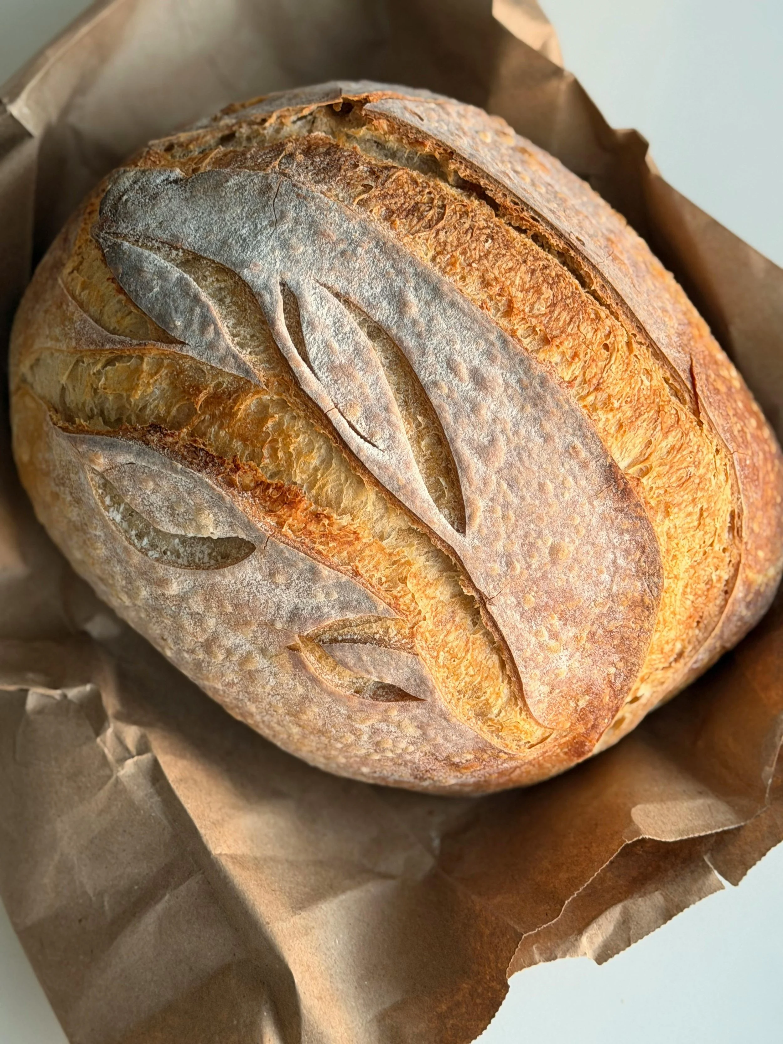 Intro to Sourdough 101