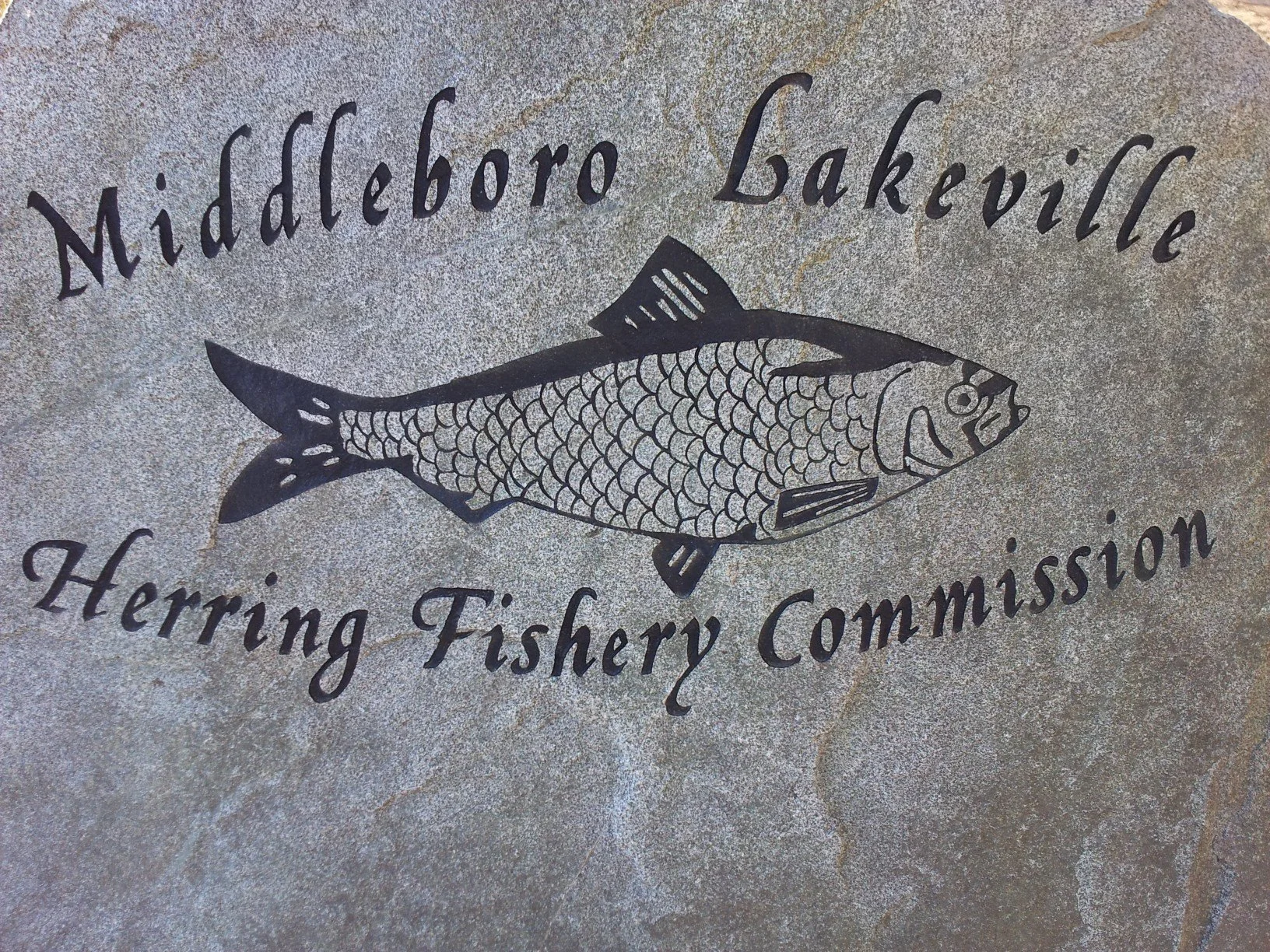 Herring Run Beer Release