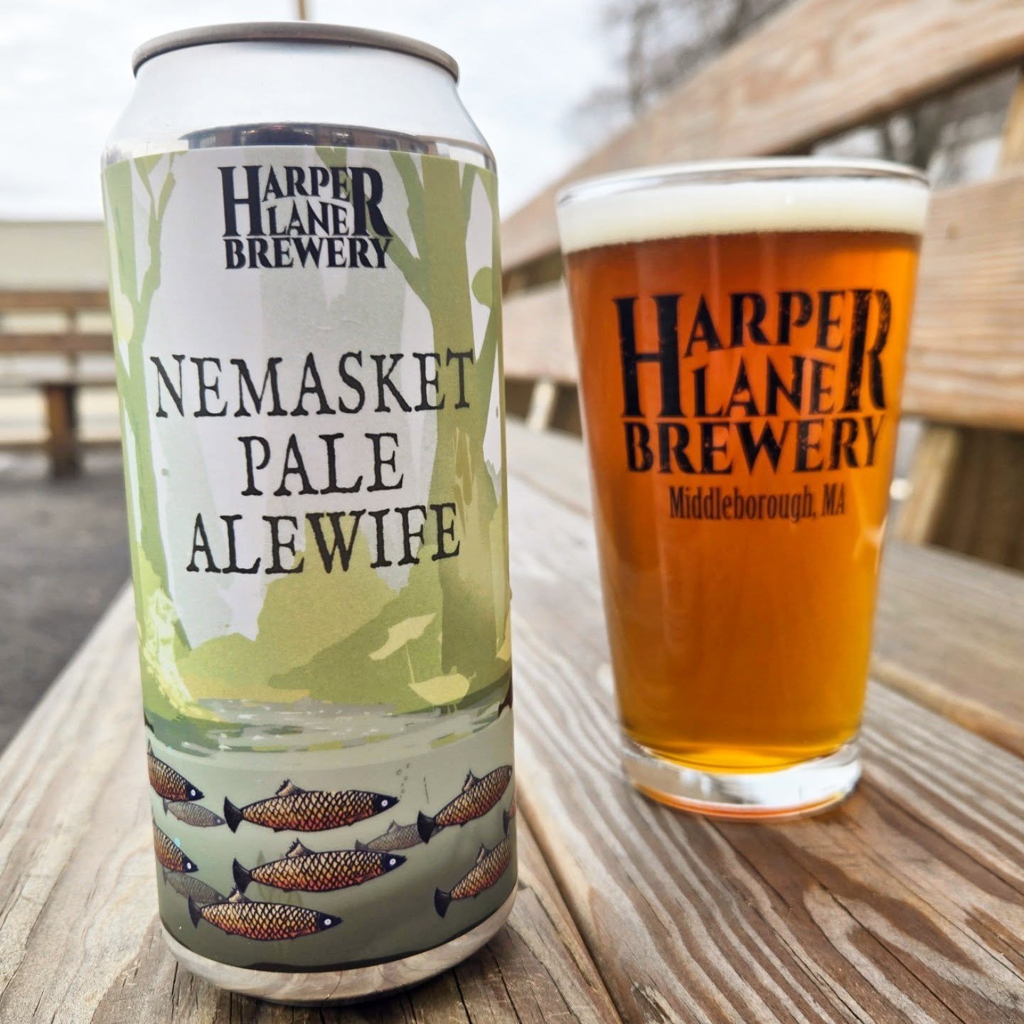 Today 3/28 come join us from 3-7pm for the Namasket Pale Alewife beer release party!

The Middleborough-Lakeville herring comission will be here talking all stuff herring! The herring are now here and its a short walk down to the ladder if you would 