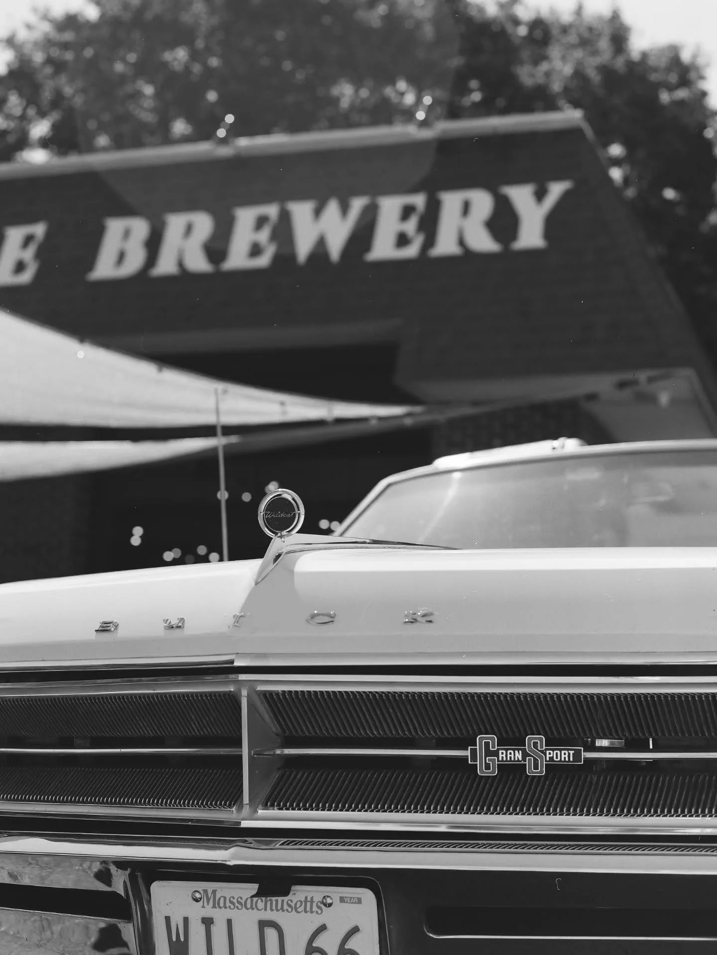 Today! Sunday, 10/18 from 11am- 1pm.

Come on by for our Second Annual Buick/Pontiac car show to honor the dealership that once lived here in 1950!!

Cannon Buick &amp; Pontiac. 

And there's more! We have @j.haglof here playing music from 2-5pm!