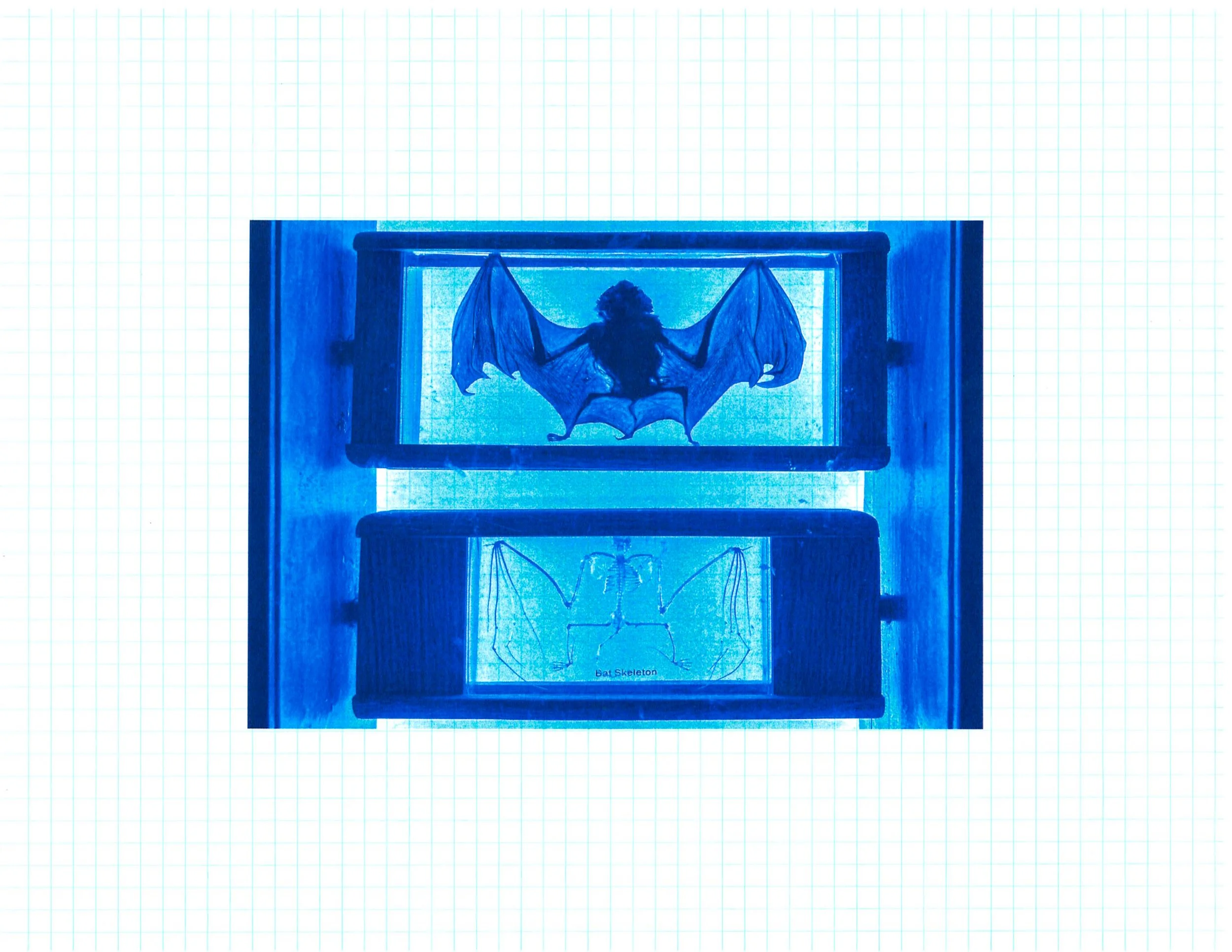 Blue Print LightRoom Edit 11-25-38.jpg