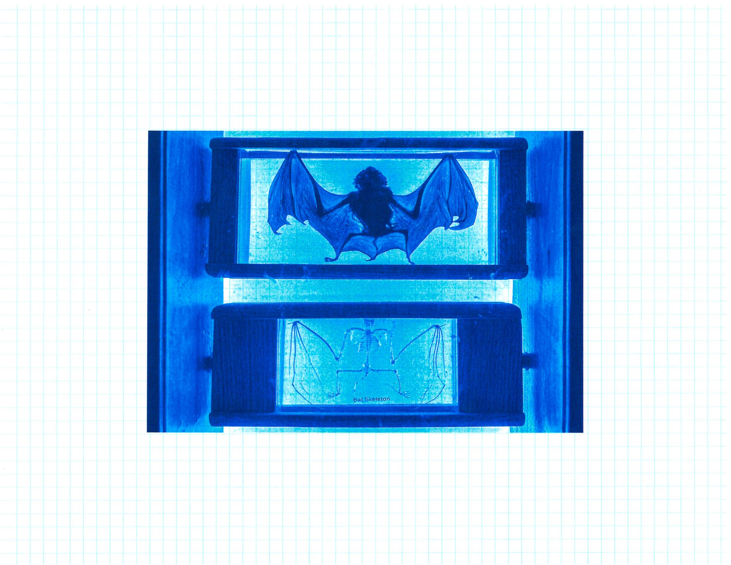 Blue Print LightRoom Edit 11-25-38.jpg