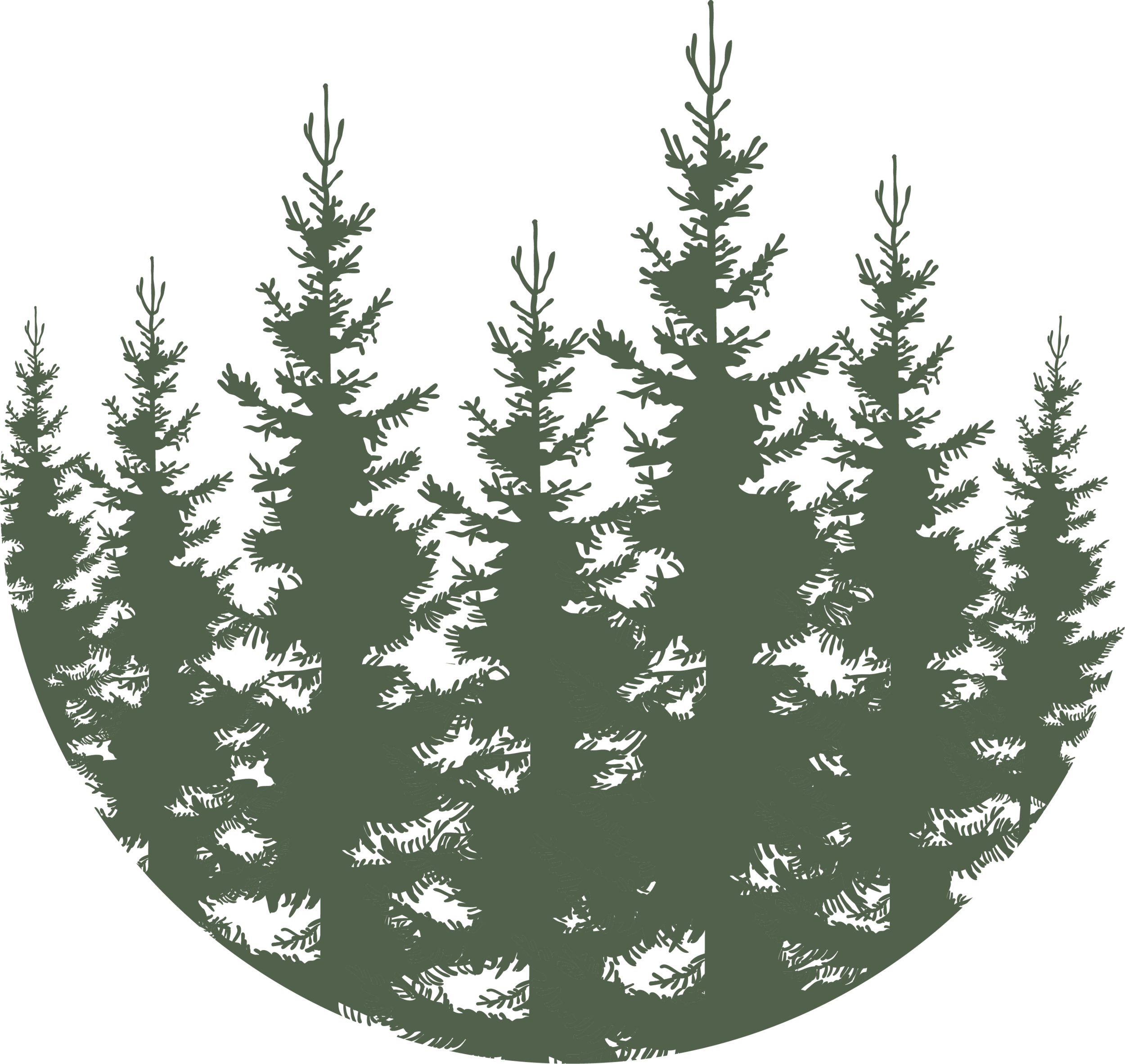 Forest - Green.png
